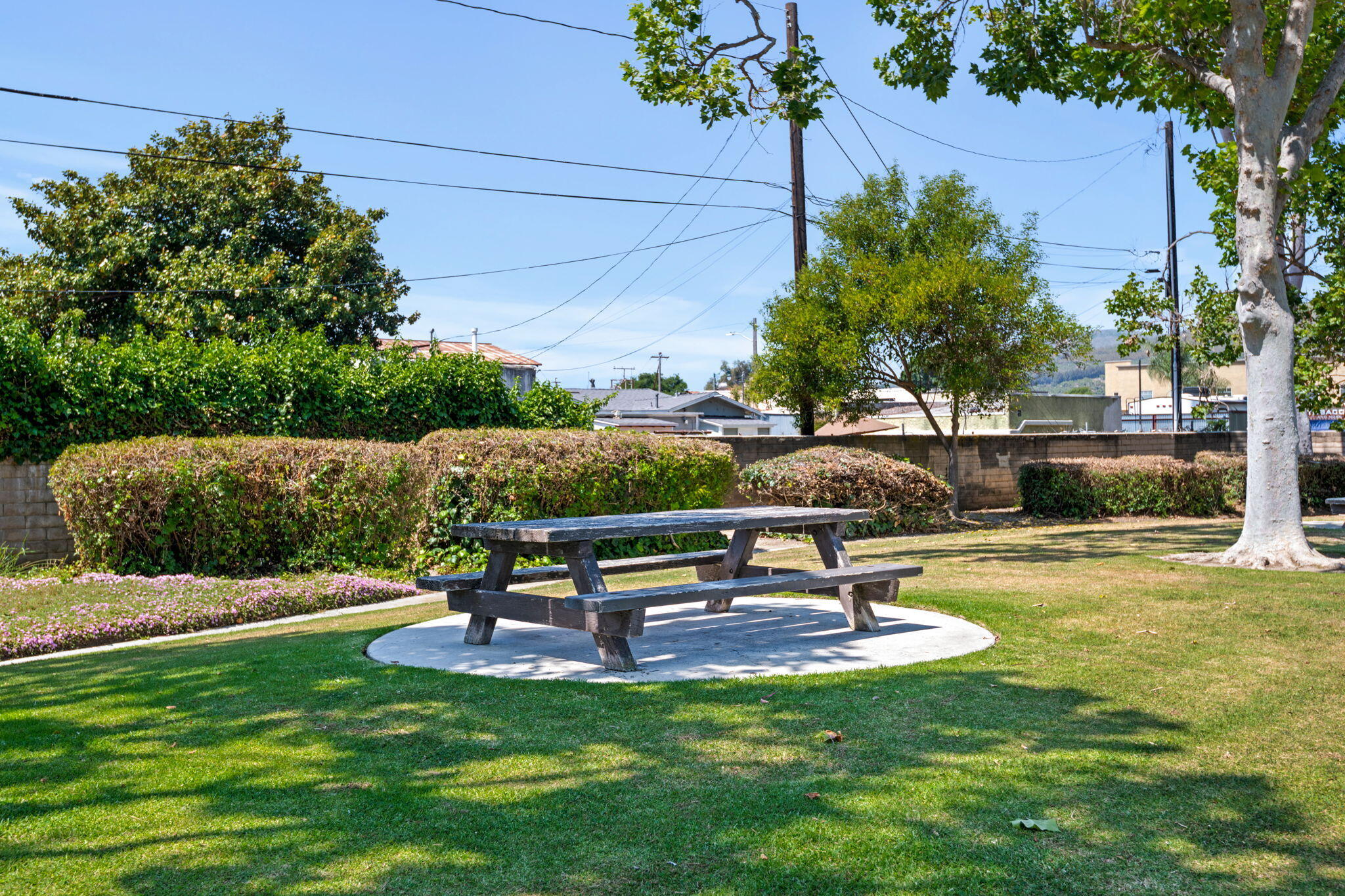 222 Ute Lane