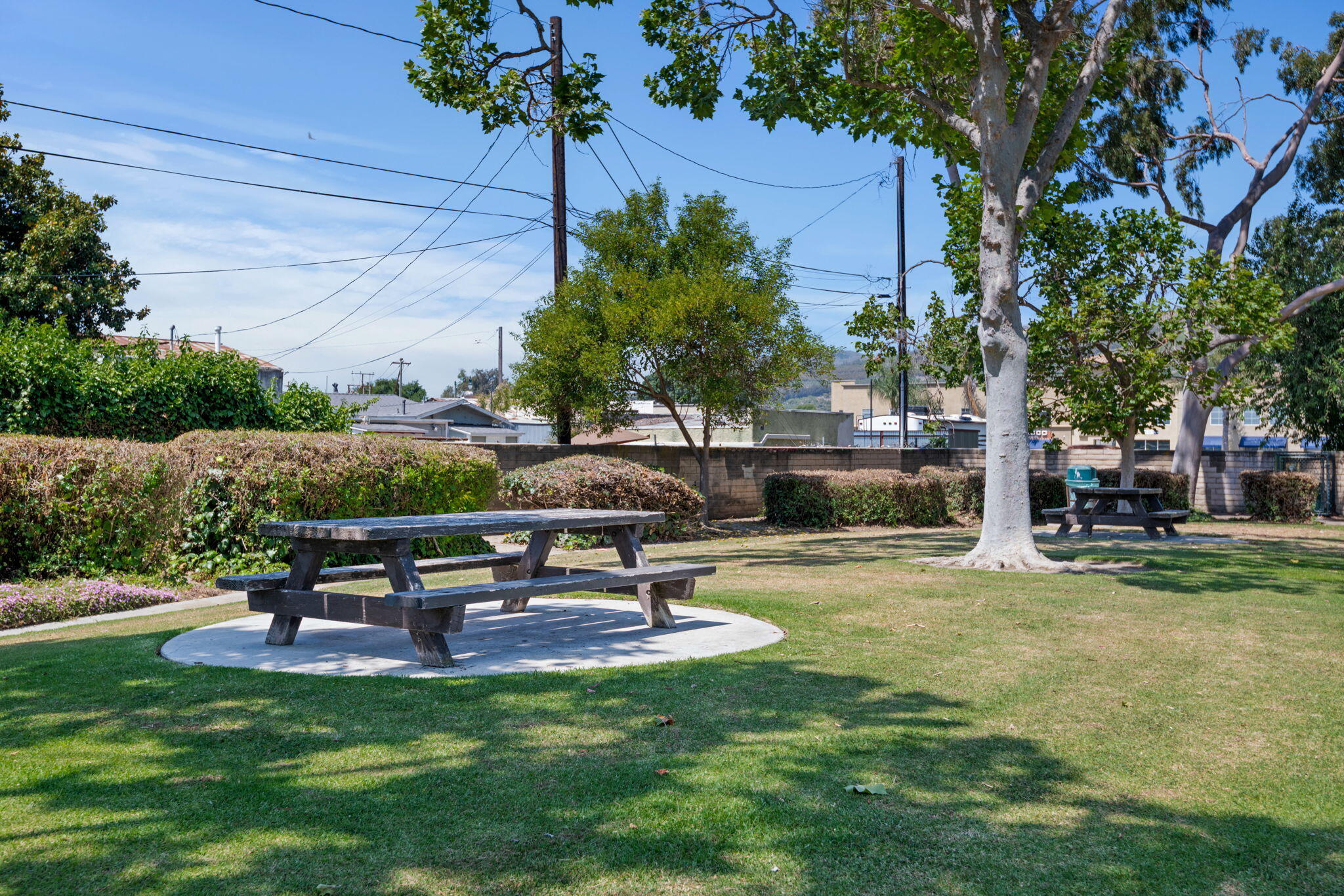 222 Ute Lane