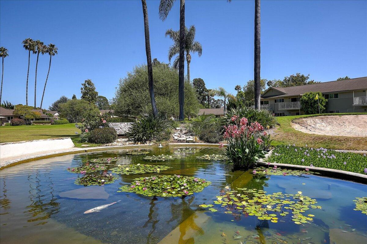 310 Moreton Bay Lane #3