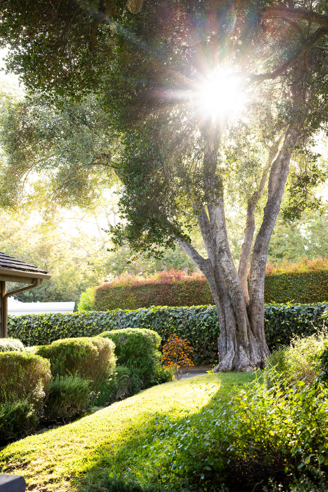 1515 E Valley Road, C