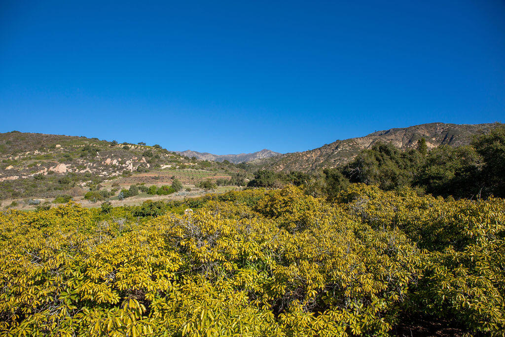 1835 Santa Monica Road