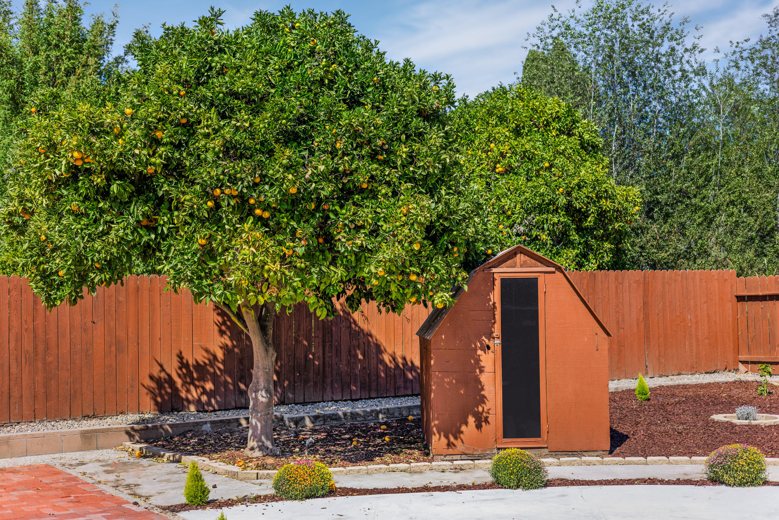 622 Colfax Court