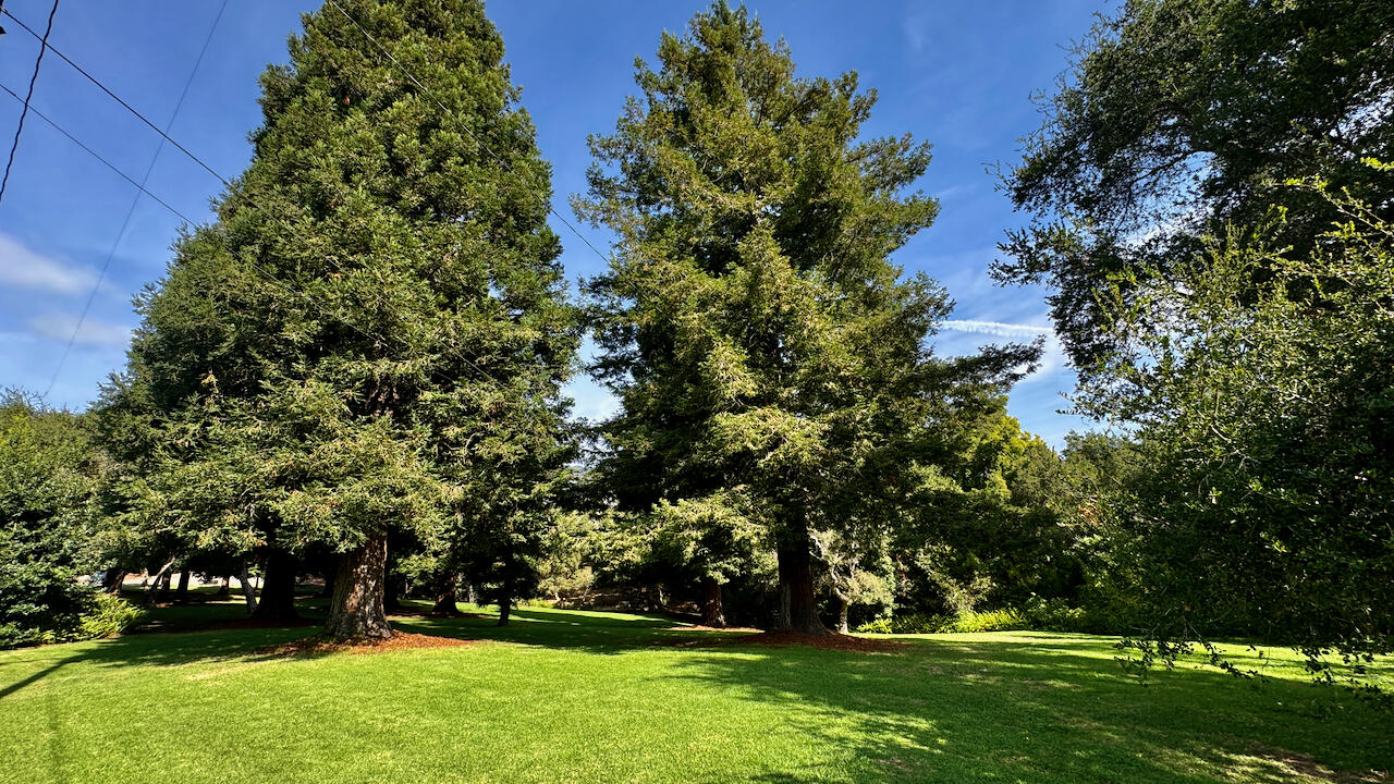 1445 School House Road