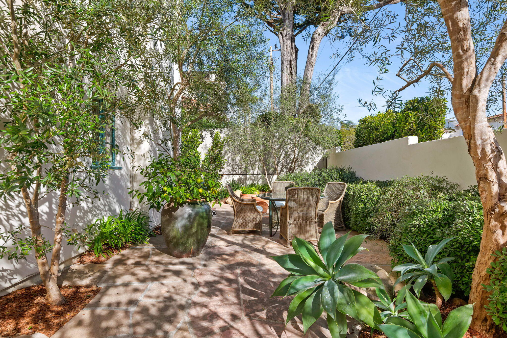 71 Olive Mill Road