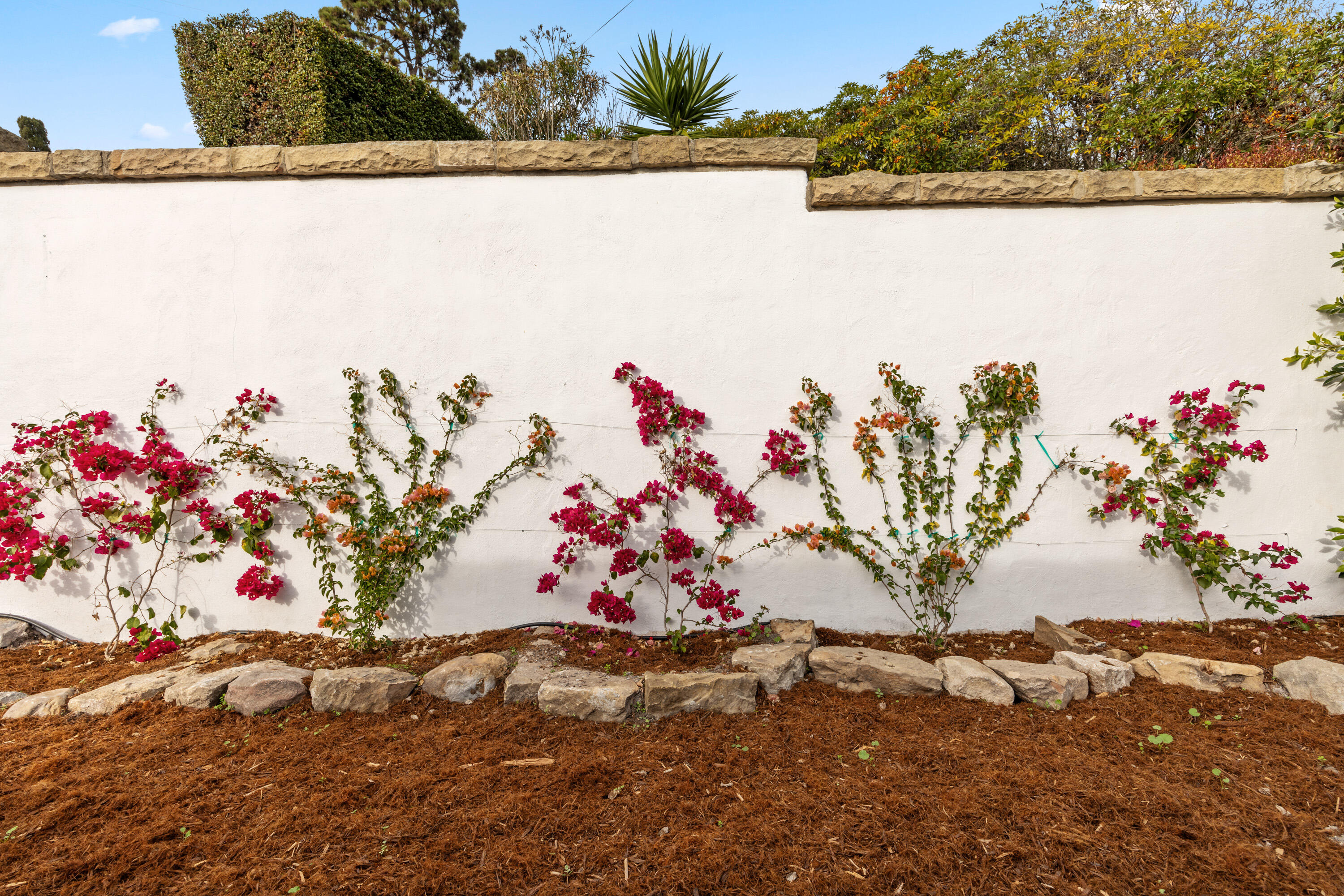 1226 Alameda Padre Serra