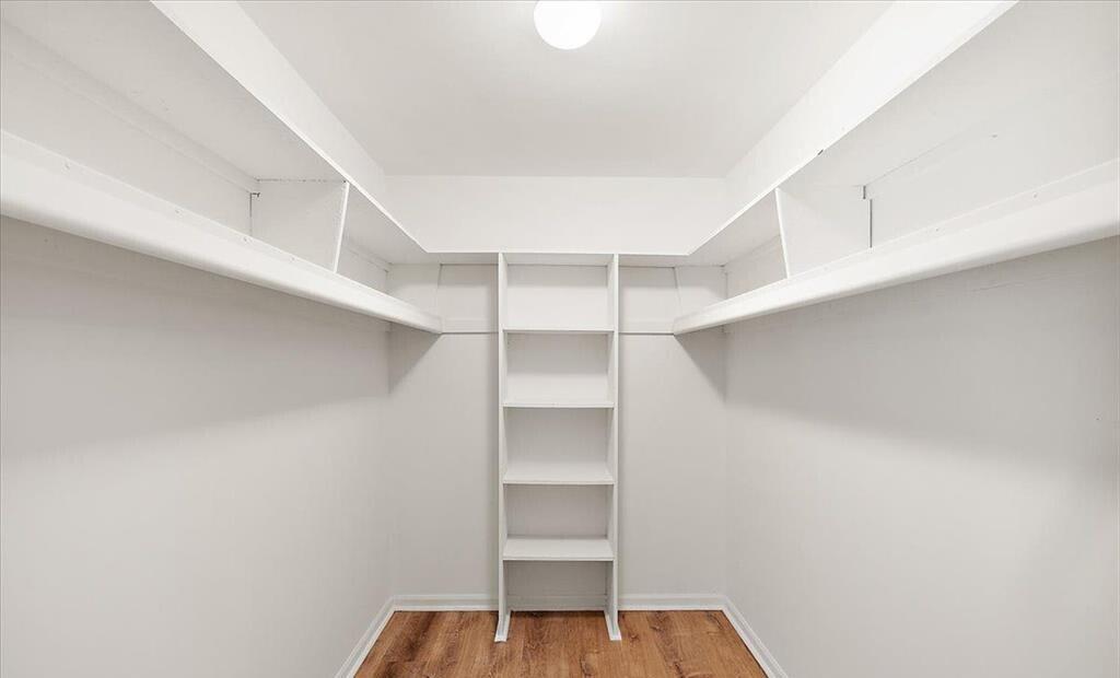 28118 Forestbrook Drive