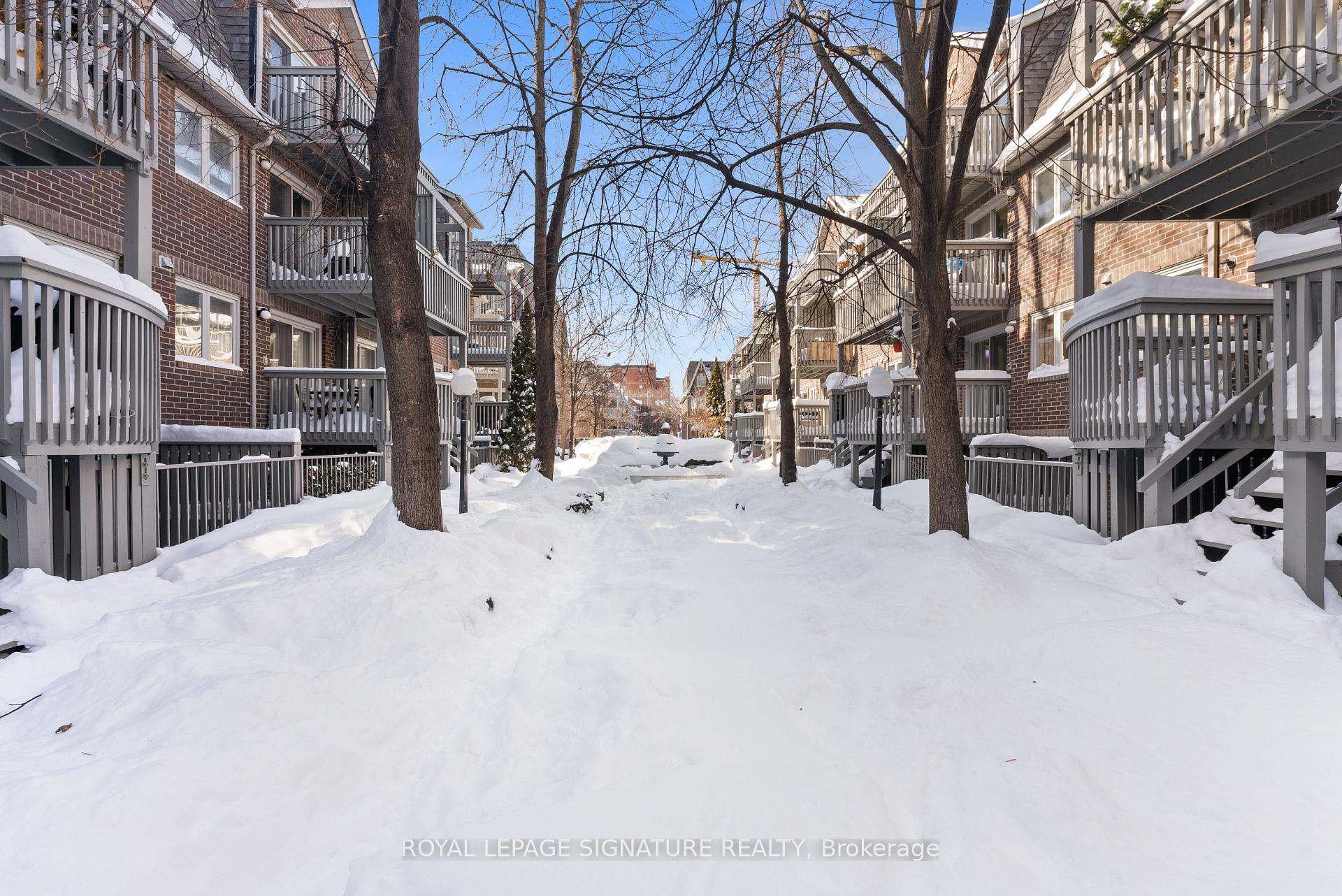 32 Massey Street W D