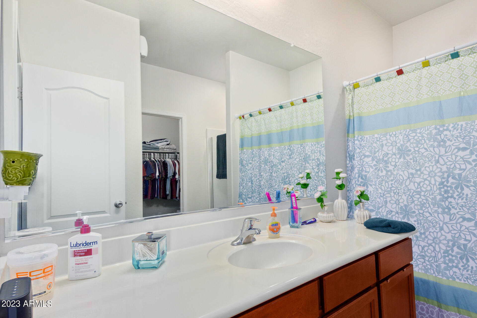 24453 W SHERATON Lane