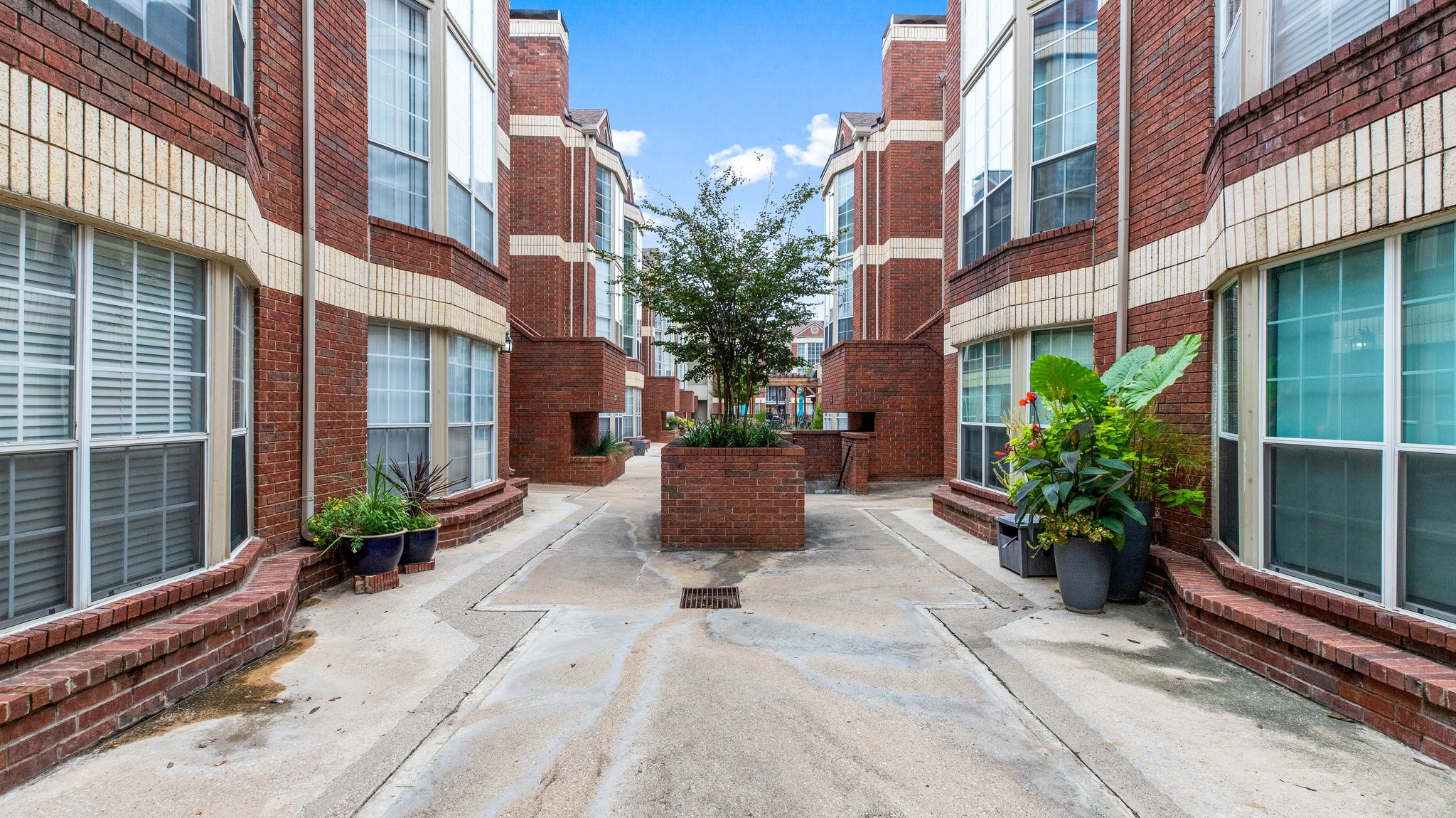 3100 Cole Avenue 204