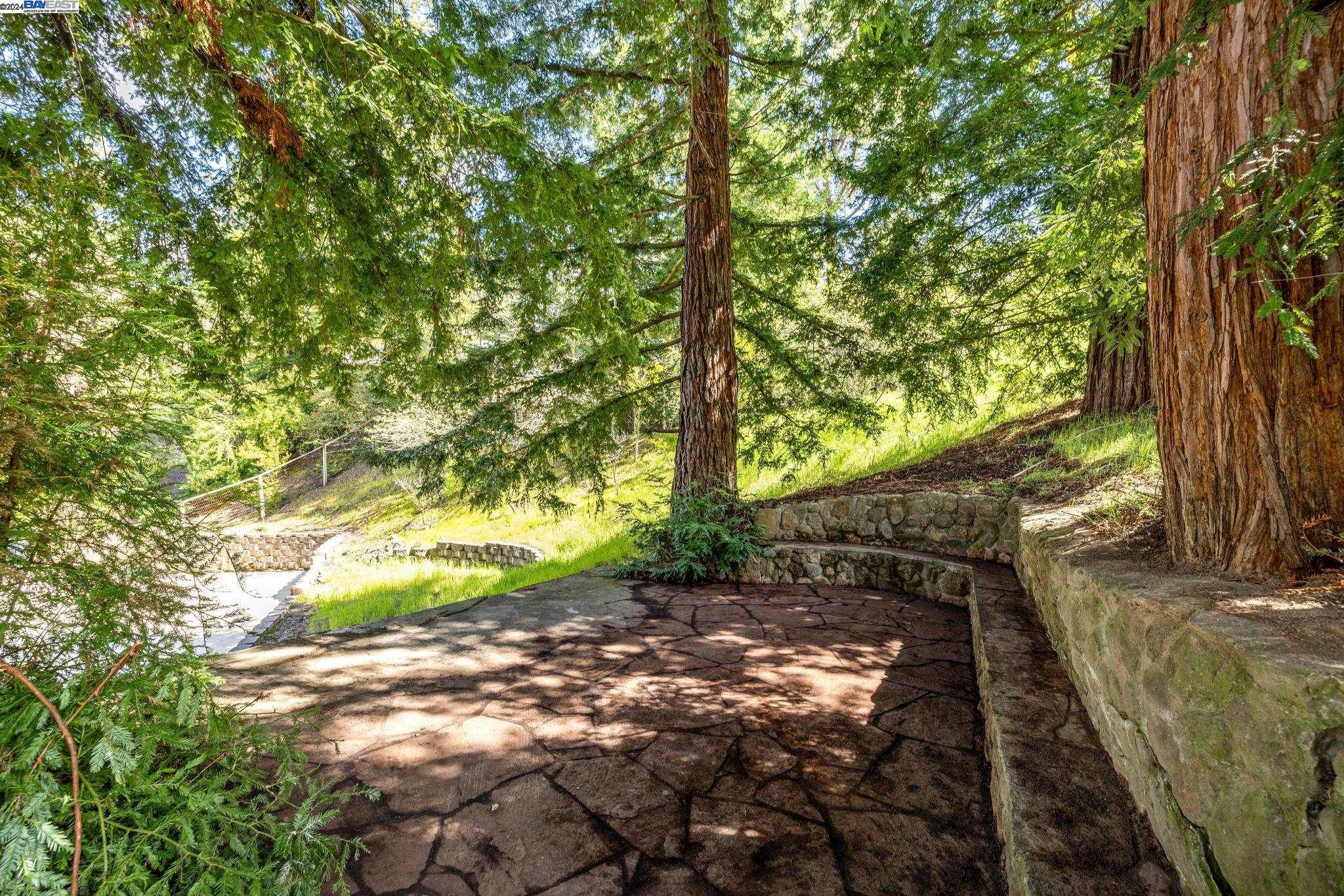 2323 Saddleback Dr