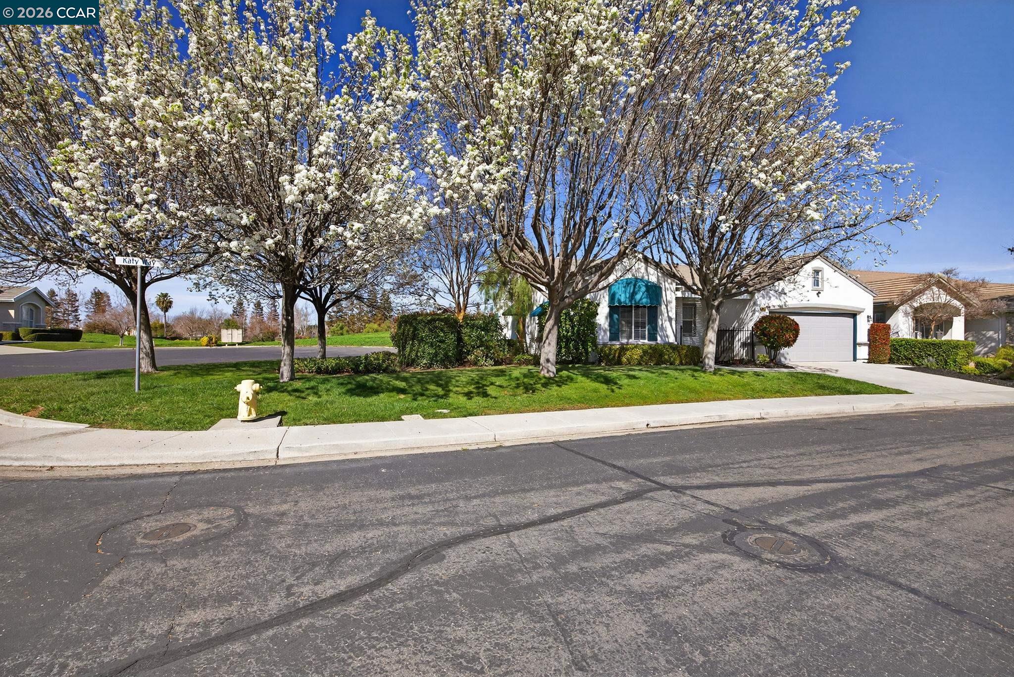 1528 Katy Way