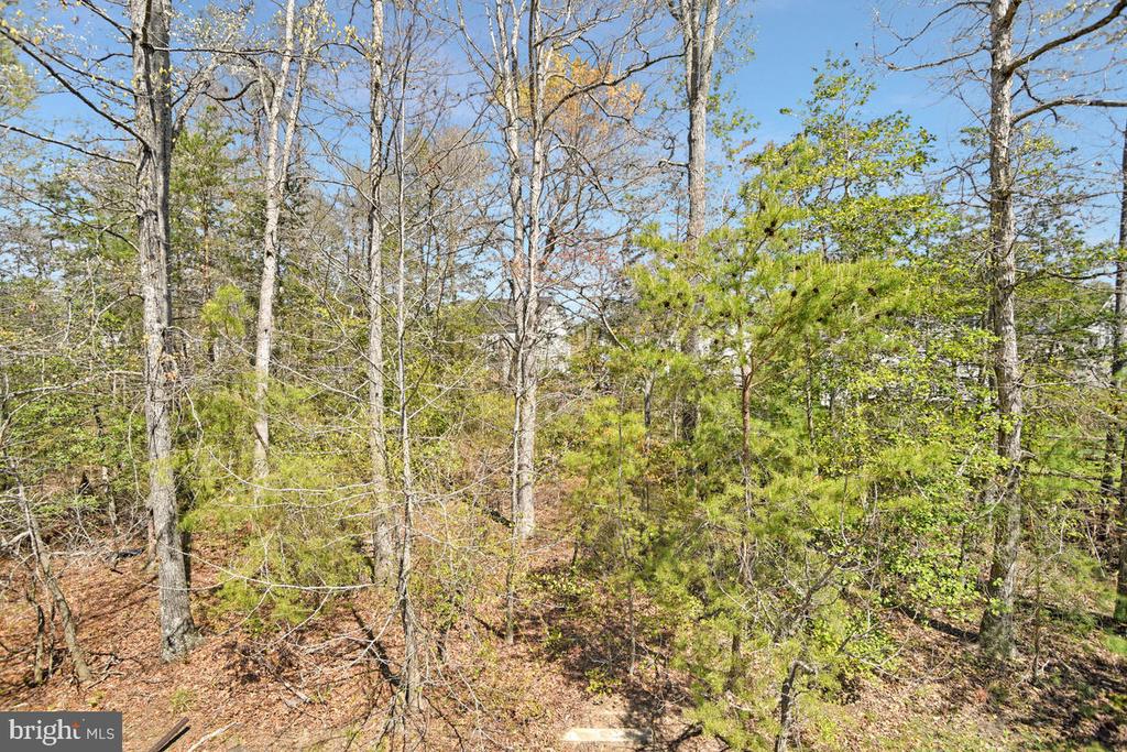 9792 ELMSHORN COURT