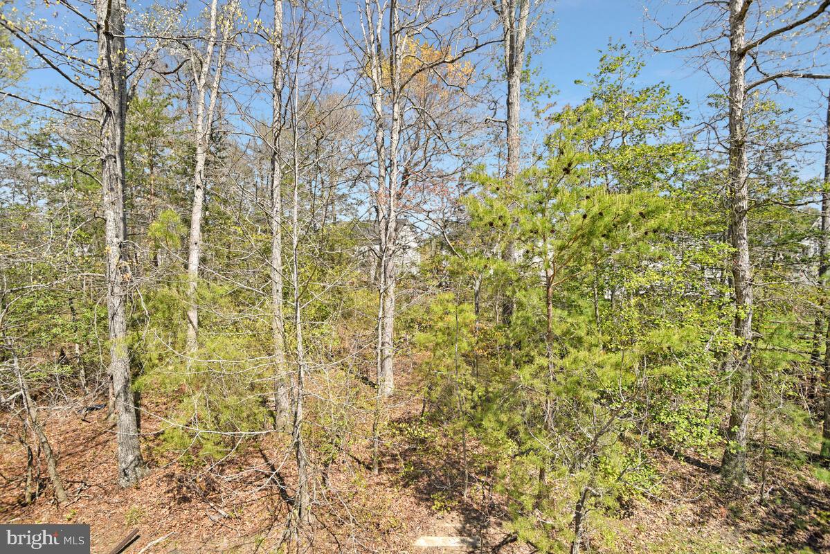 9792 ELMSHORN COURT
