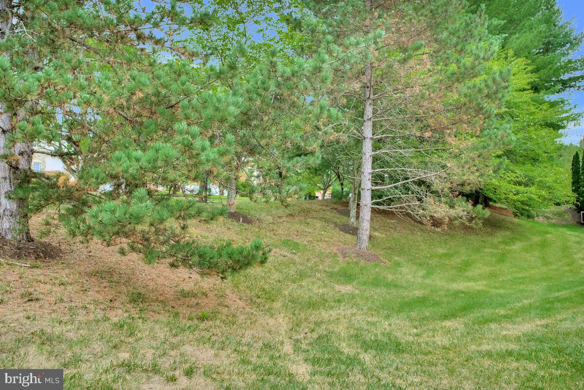 12343 WOODWALK TERRACE