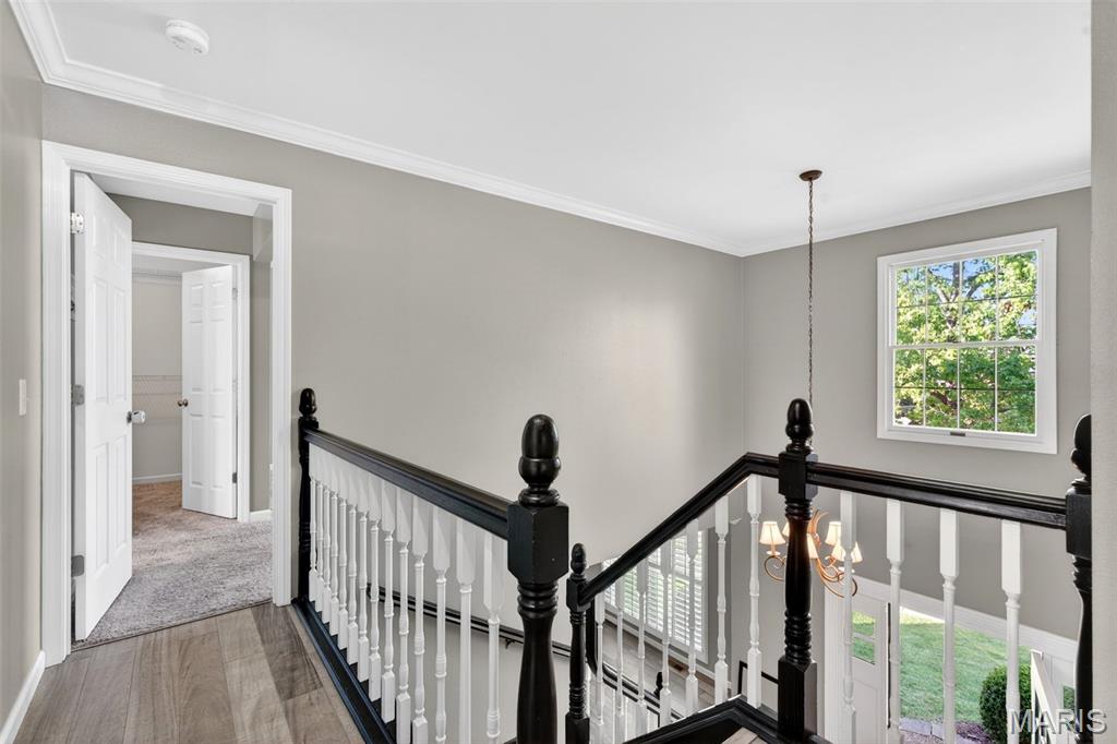 2902 Piney Pointe Drive