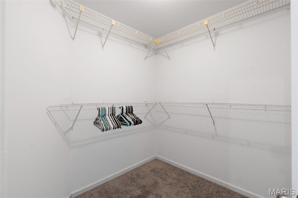 2902 Piney Pointe Drive