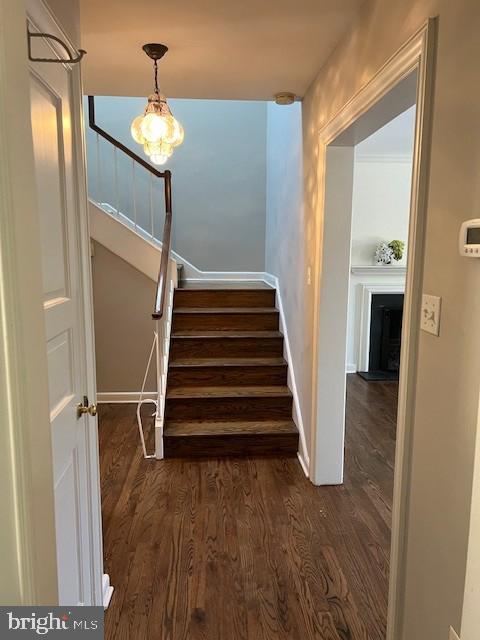 341 341 Conshohocken State Rd #B