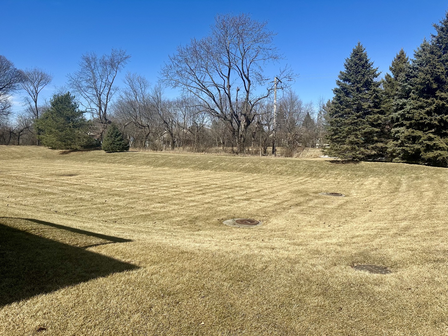 1326 Dancing Bear Lane