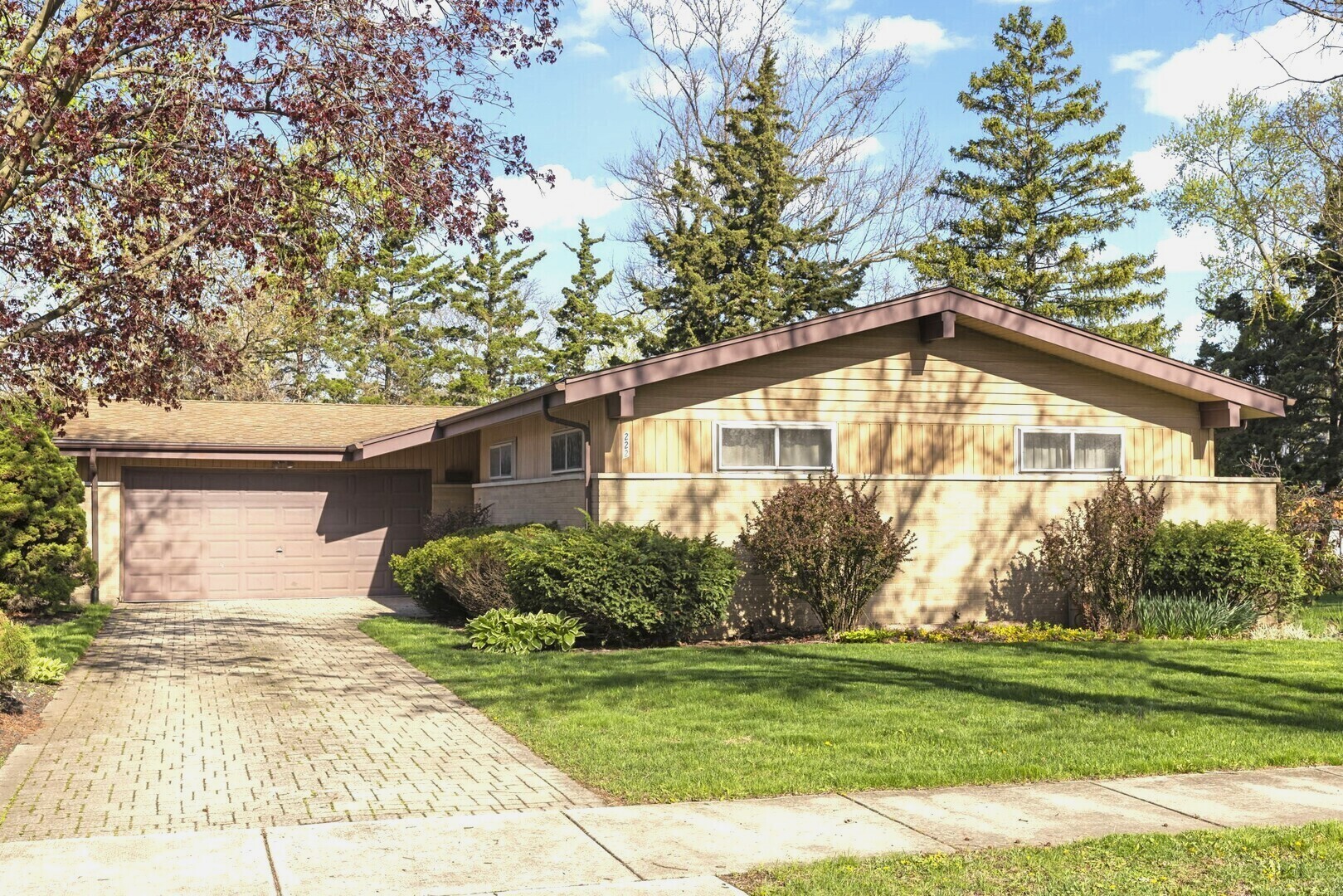 222 E Julia Drive