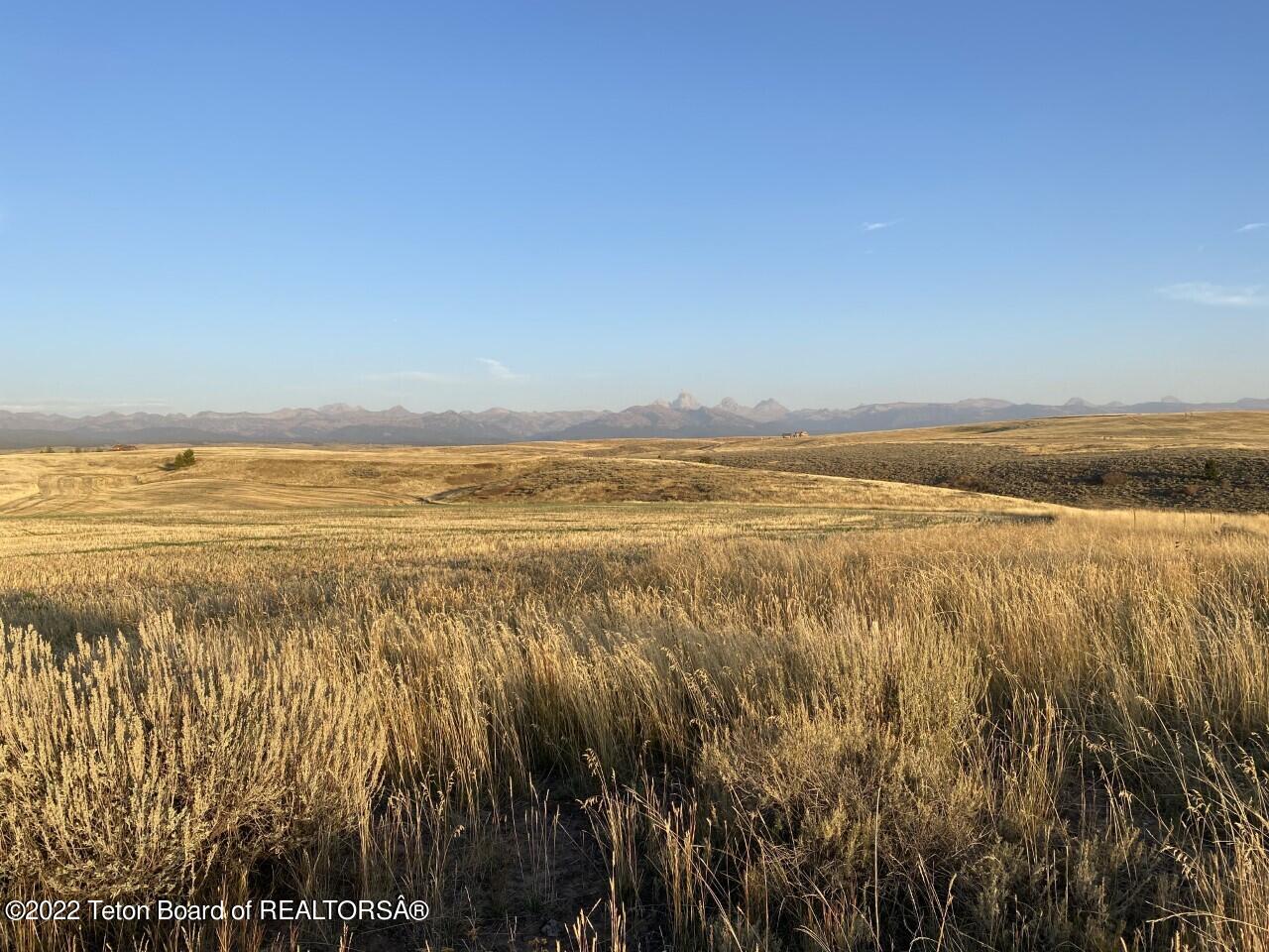 8702 GRIZZLY RIDGE Road