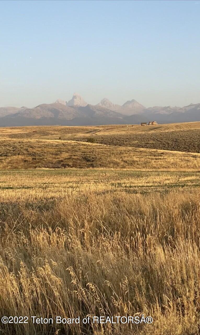 8702 GRIZZLY RIDGE Road