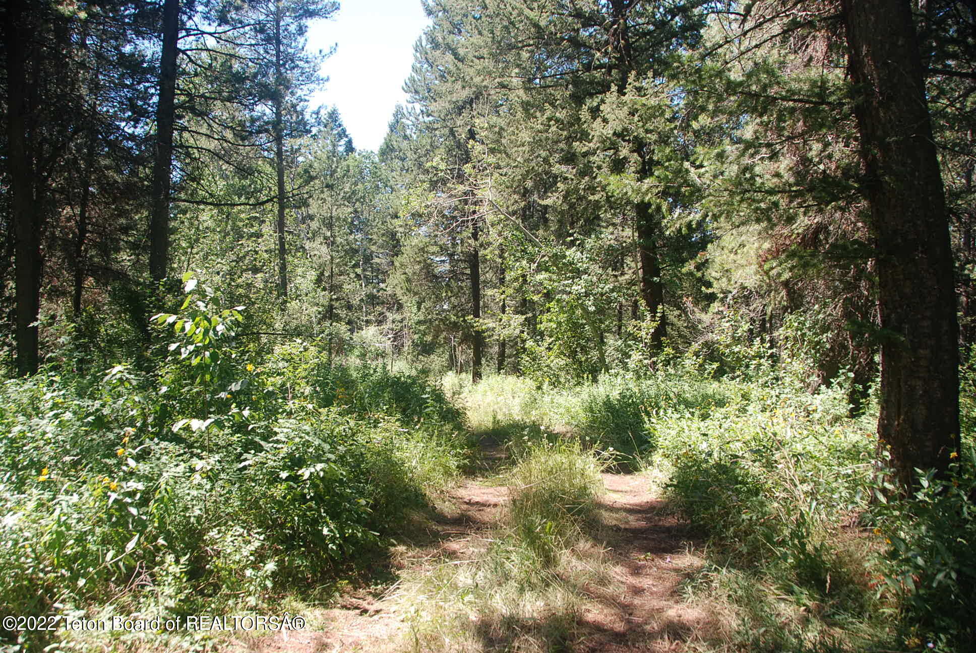 TBD LOT 1&2 WOODLAND HILLS SUB