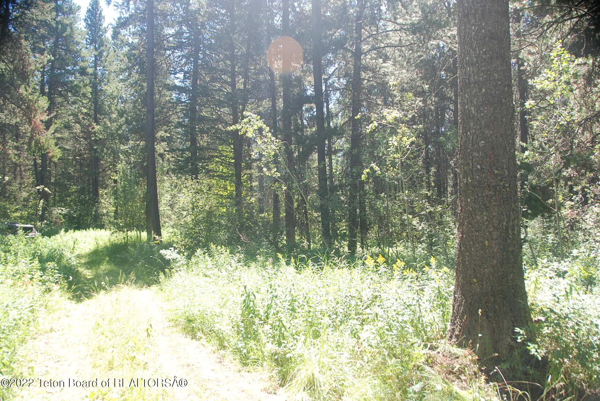 TBD LOT 1&2 WOODLAND HILLS SUB