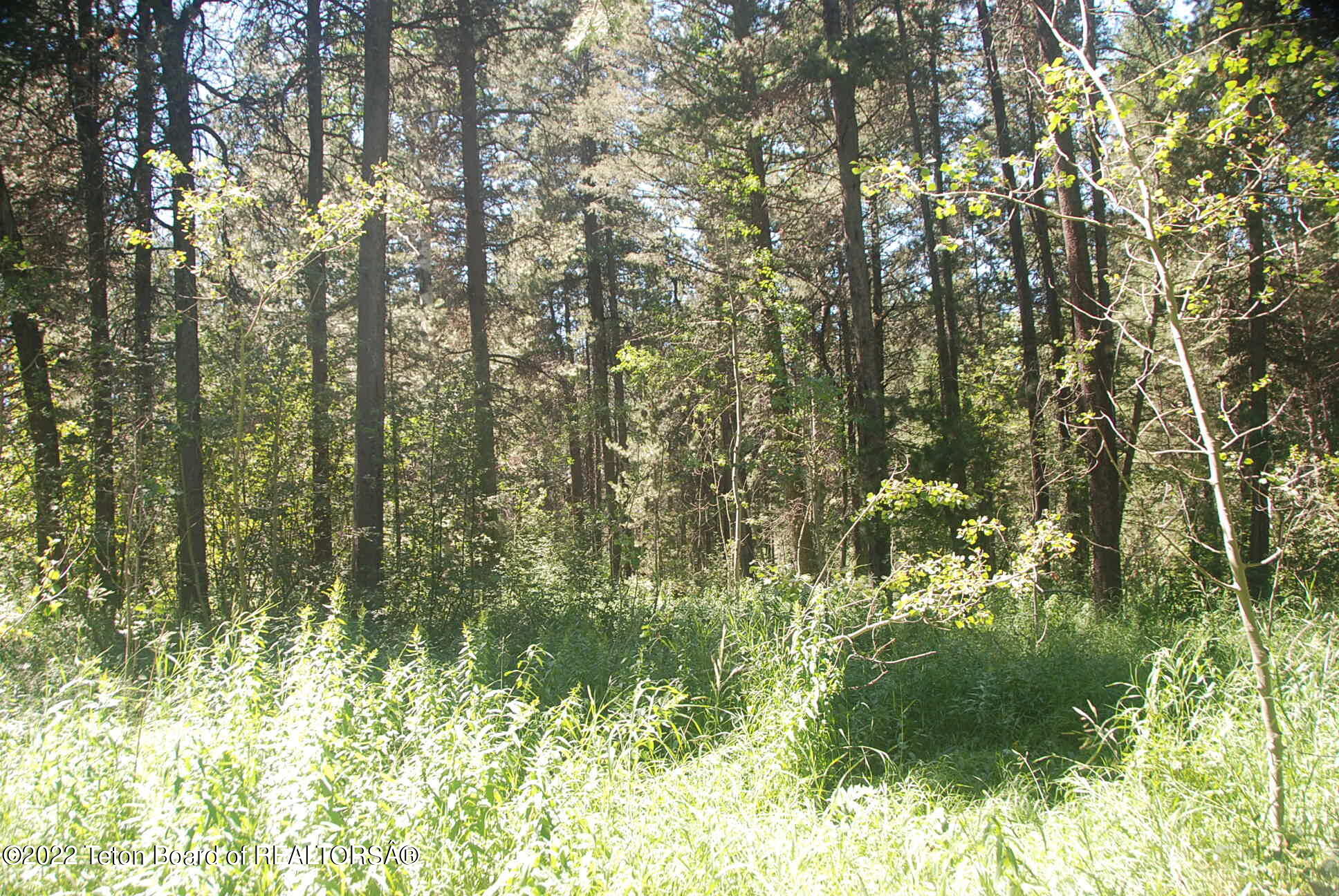 TBD LOT 1&2 WOODLAND HILLS SUB