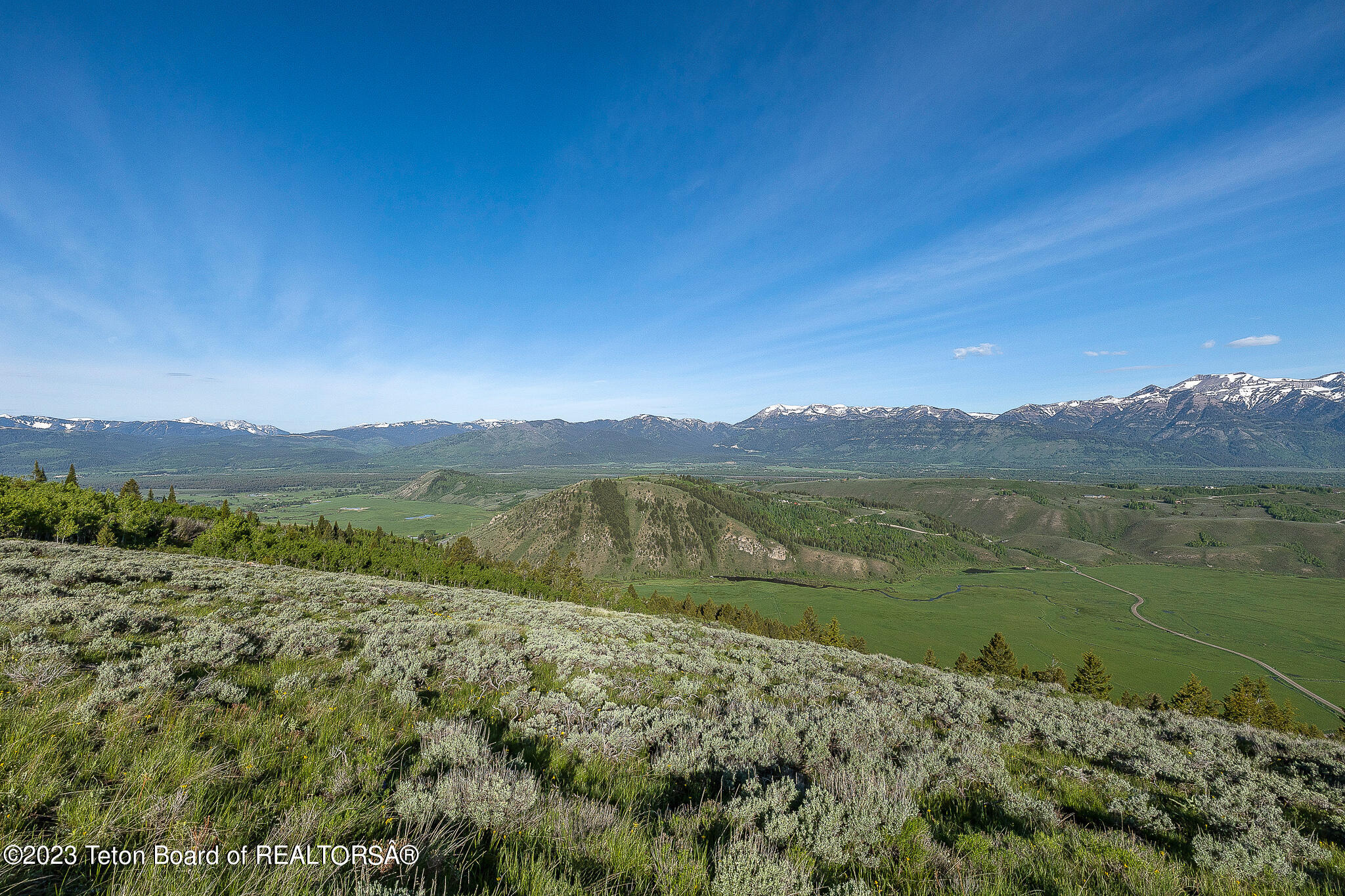 975 W SADDLE BUTTE Drive