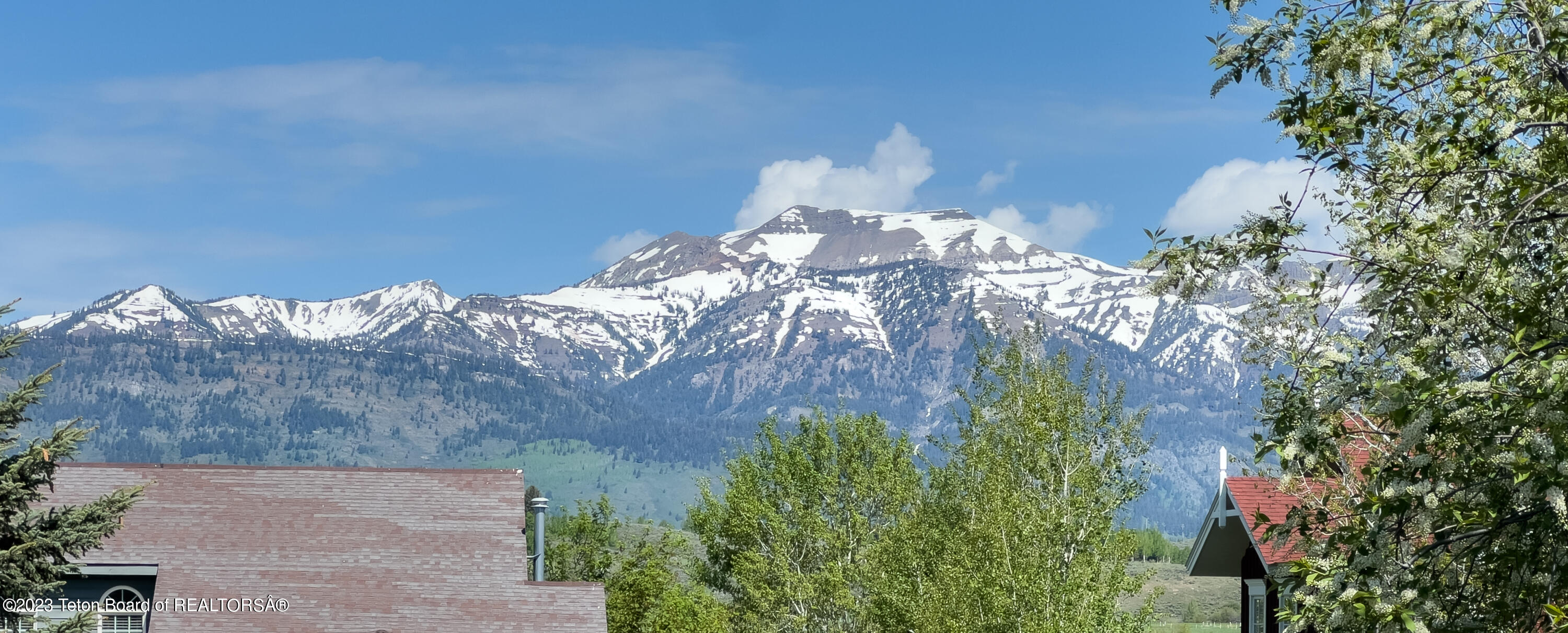 850 WHITEHOUSE Drive