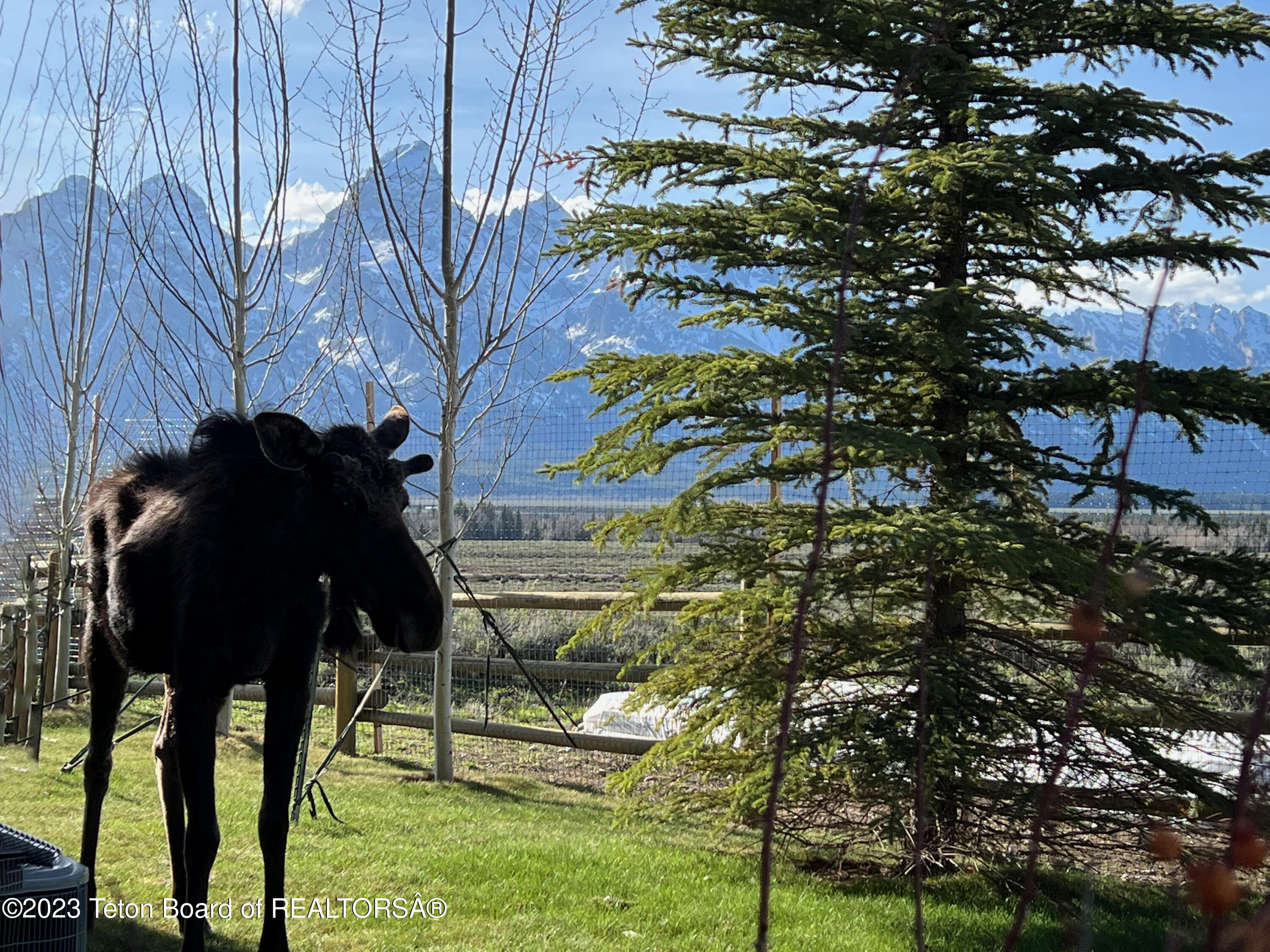 13125 N CRAIGHEAD Lane