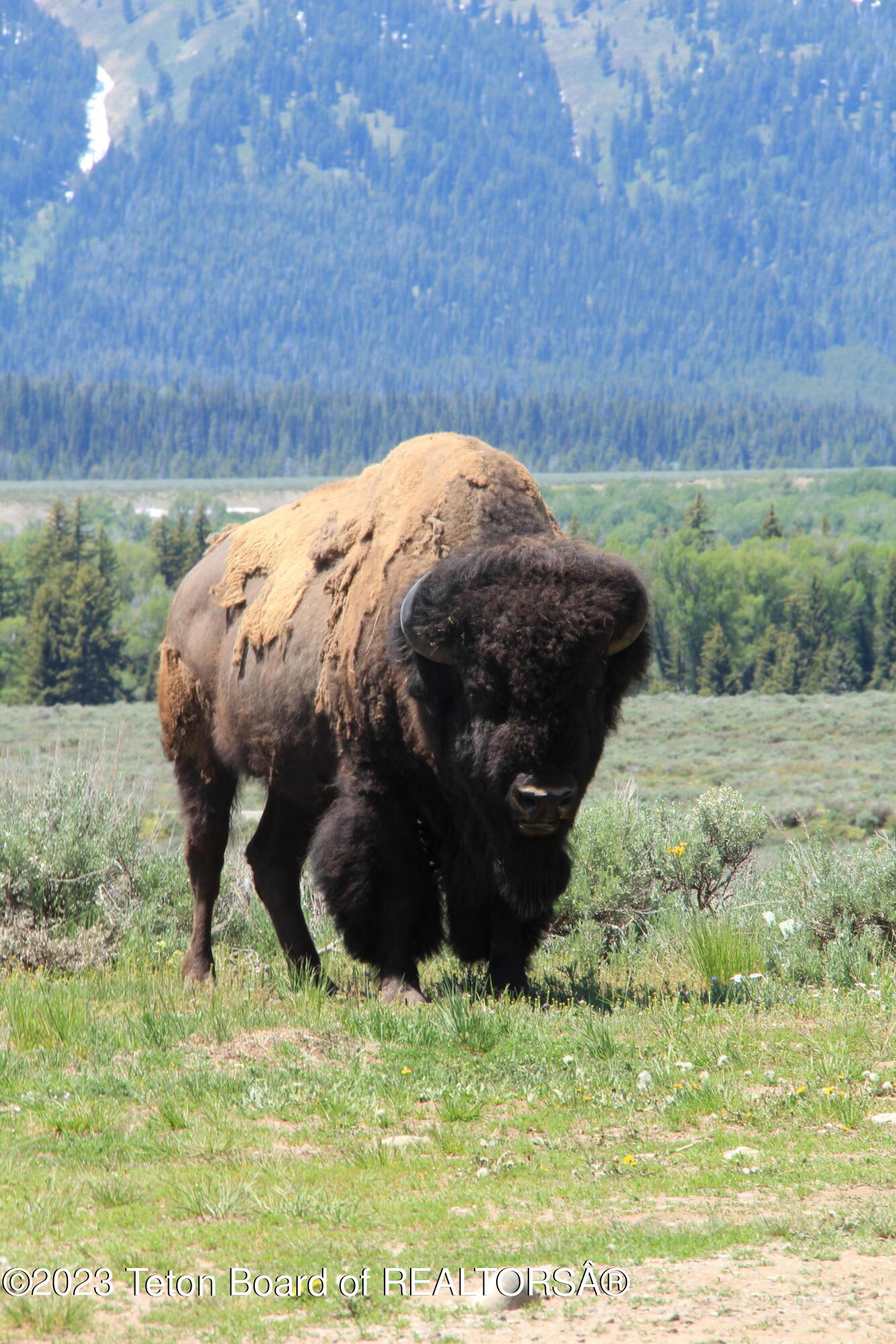 13125 N CRAIGHEAD Lane