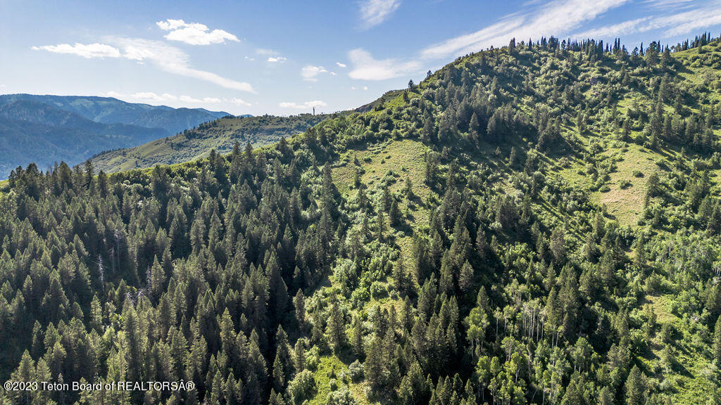 NYA LOTS 17-21 & 23 SHADY Lane