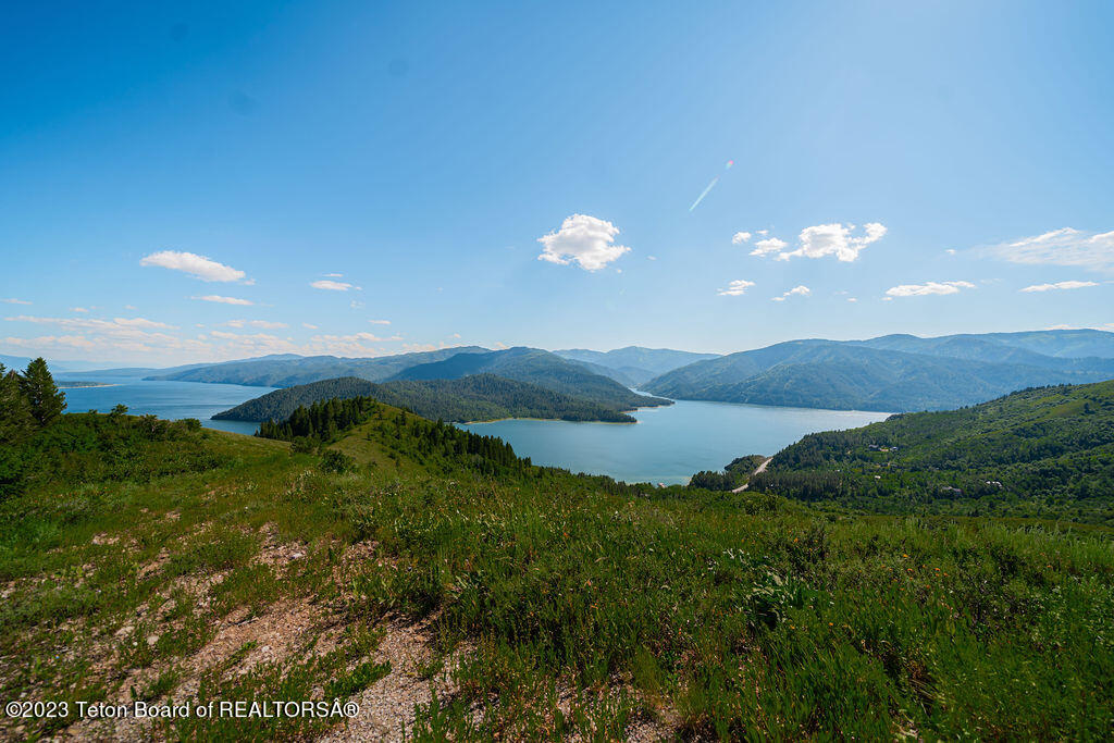 NYA LOTS 17-21 & 23 SHADY Lane