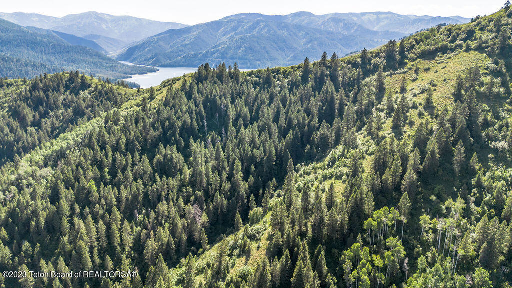 NYA LOTS 17-21 & 23 SHADY Lane