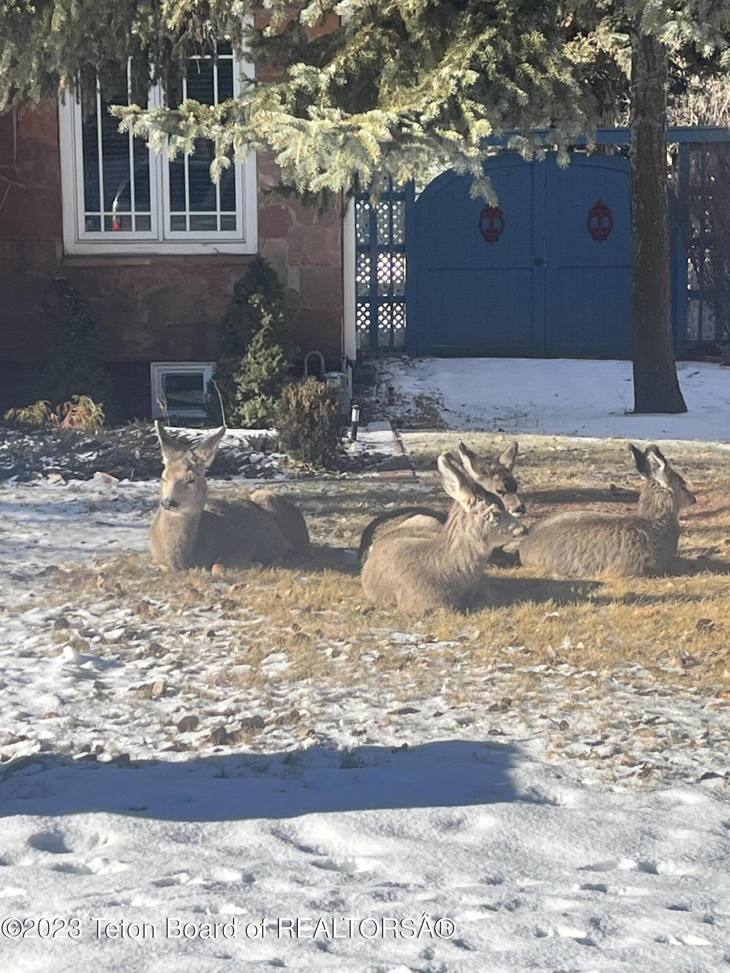 165 N GROS VENTRE Street