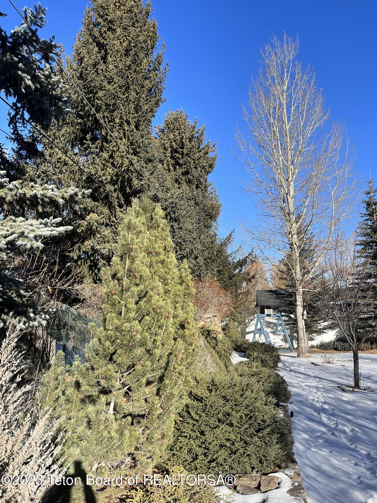 165 N GROS VENTRE Street