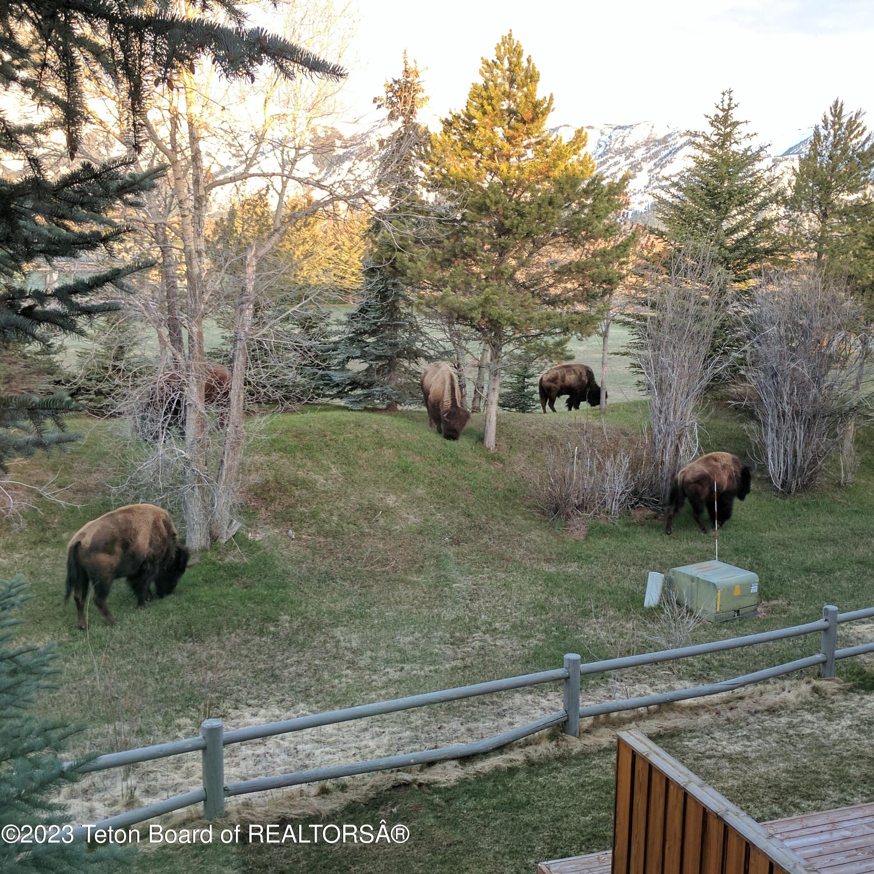 310 E SAGEBRUSH Drive, E