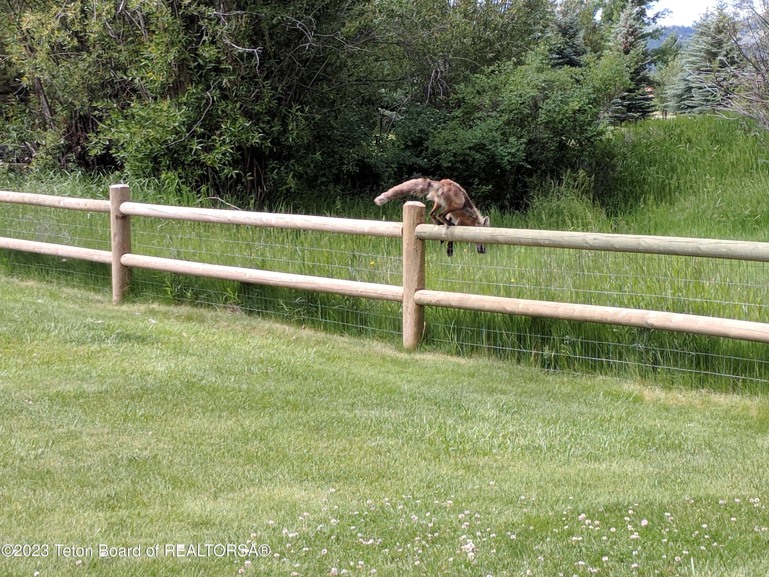 310 E SAGEBRUSH Drive, E