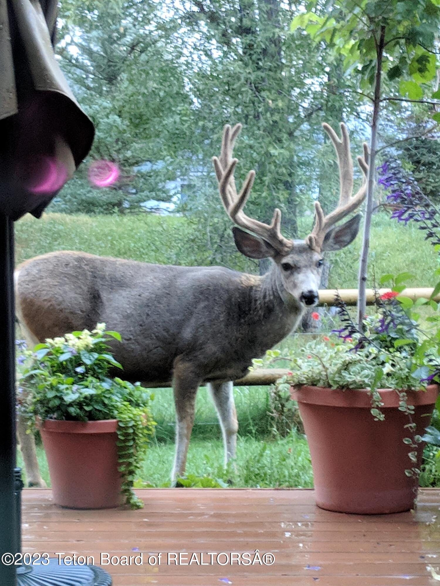 310 E SAGEBRUSH Drive, E