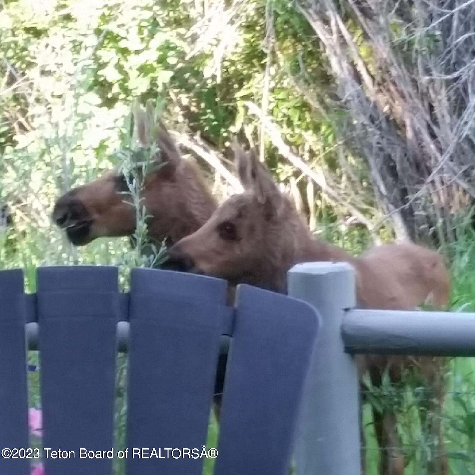 310 E SAGEBRUSH Drive, E