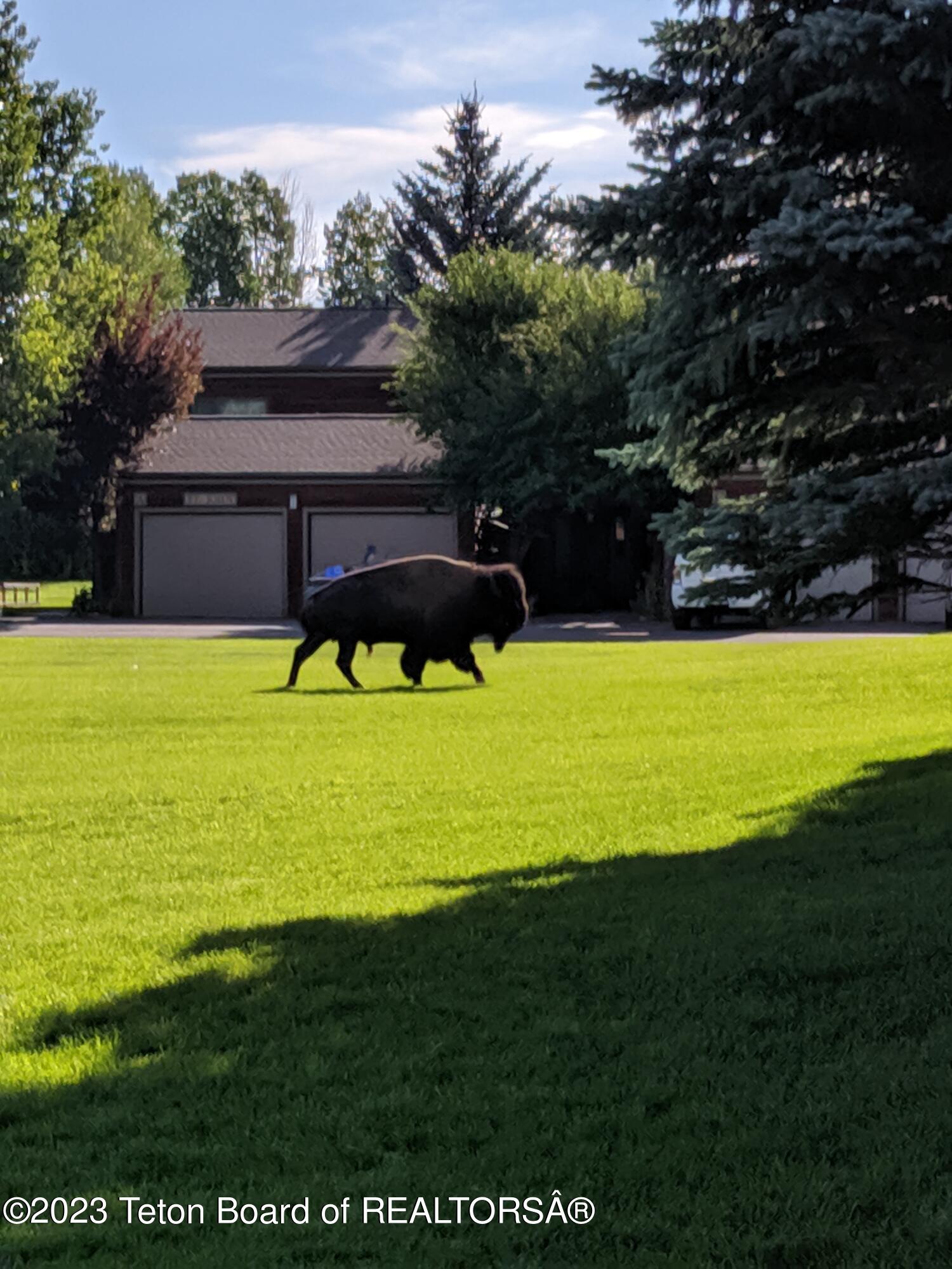 310 E SAGEBRUSH Drive, E