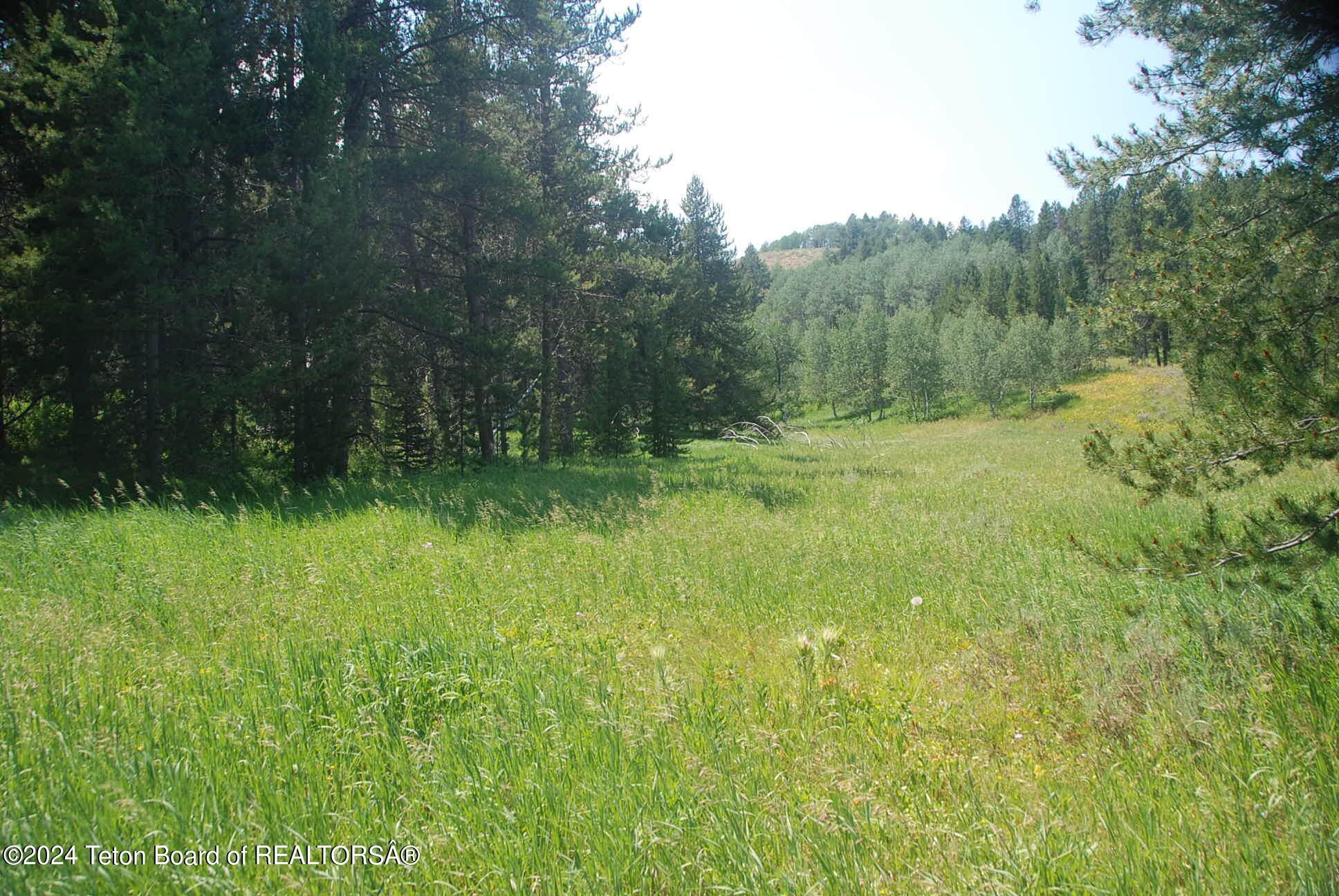 8355 S FALL CREEK Road