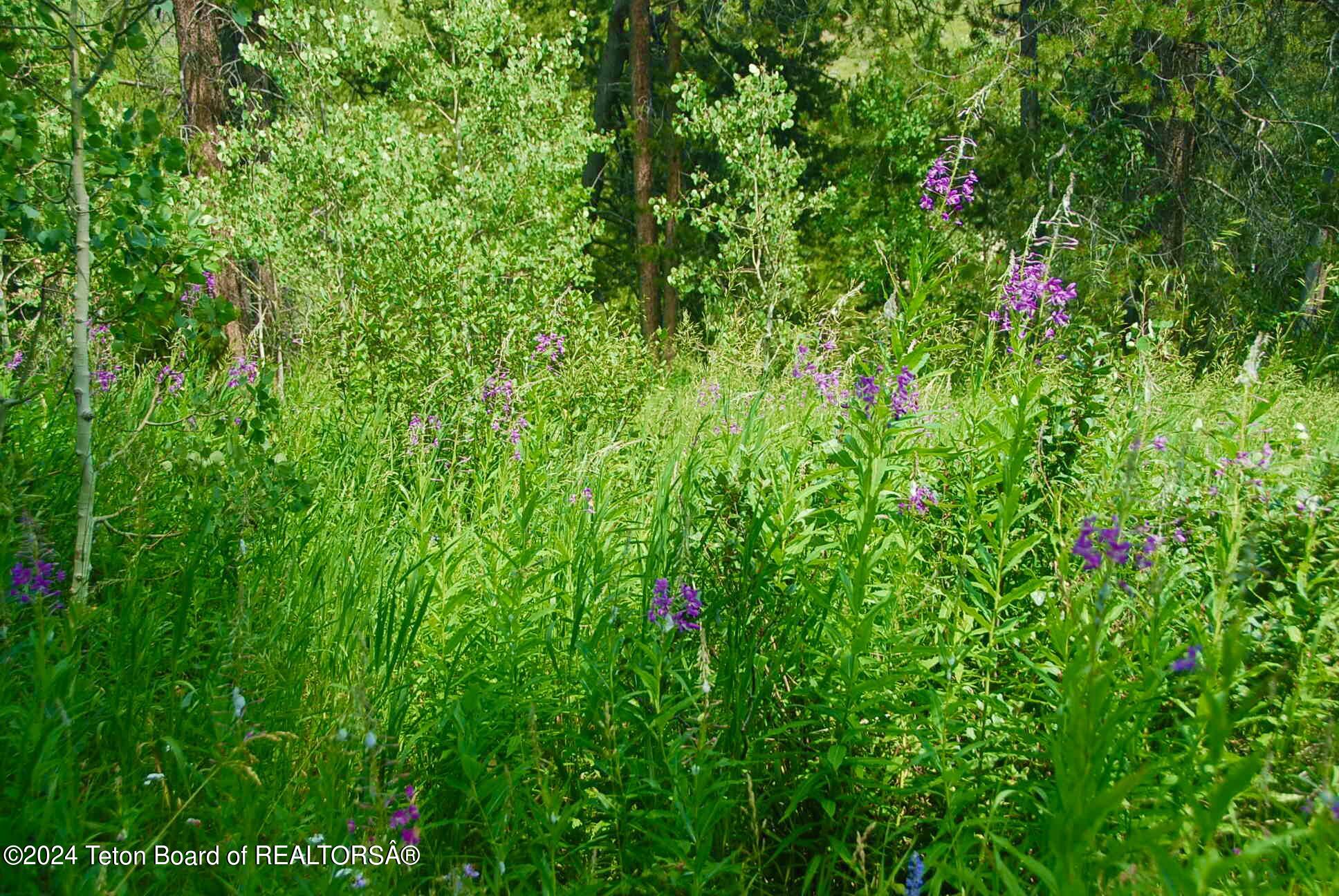 8355 S FALL CREEK Road