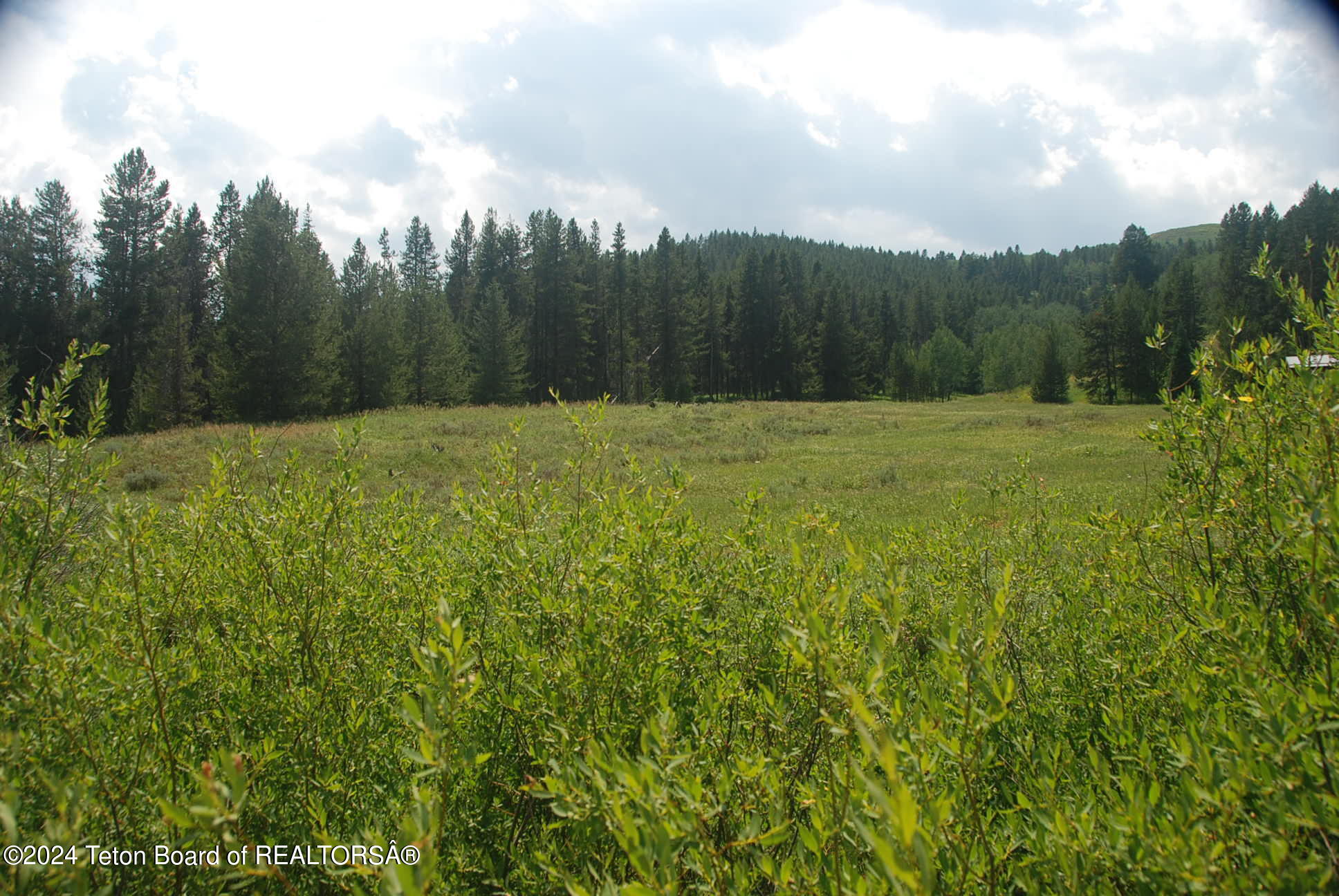 8355 S FALL CREEK Road