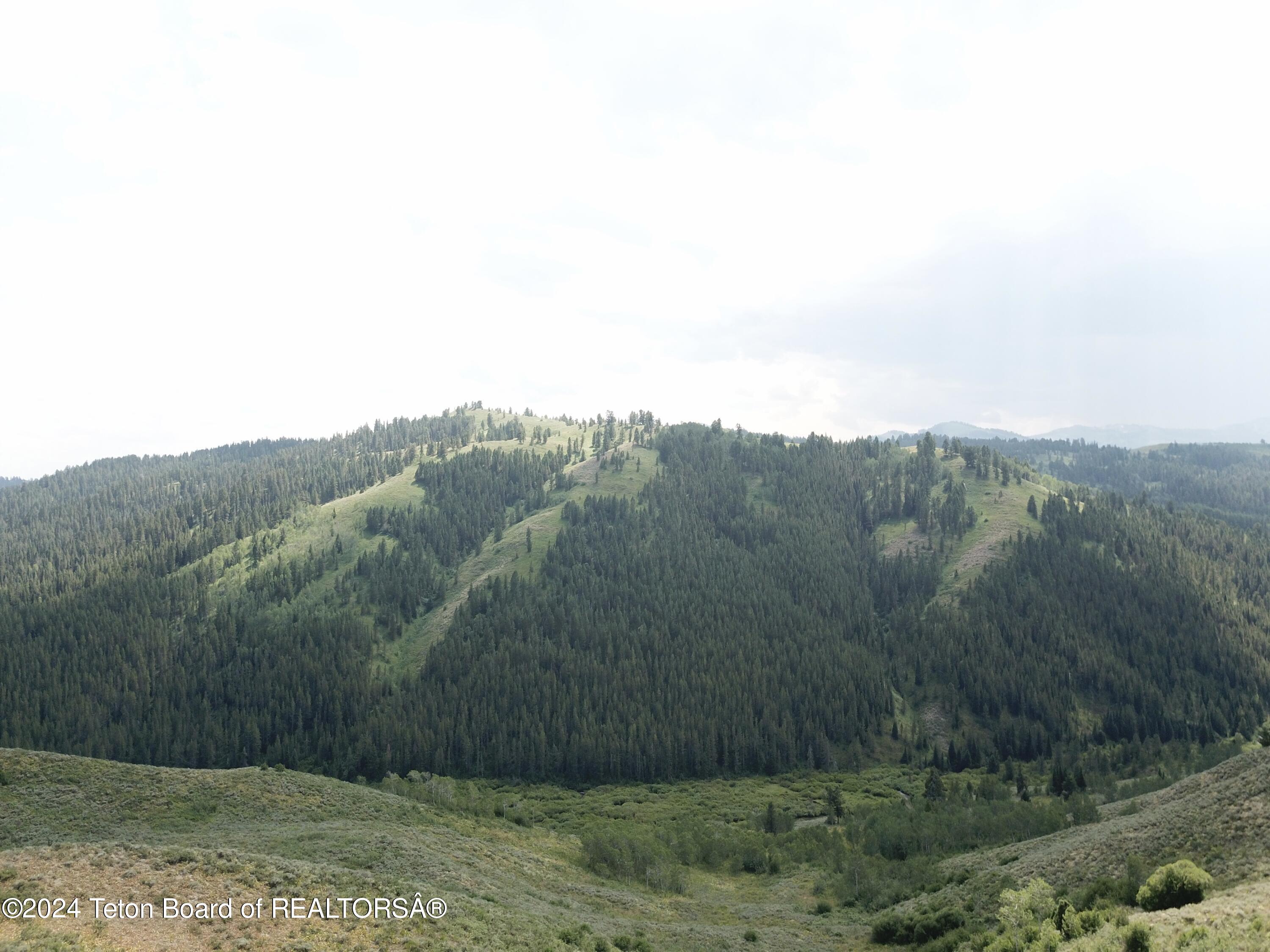 8355 S FALL CREEK Road