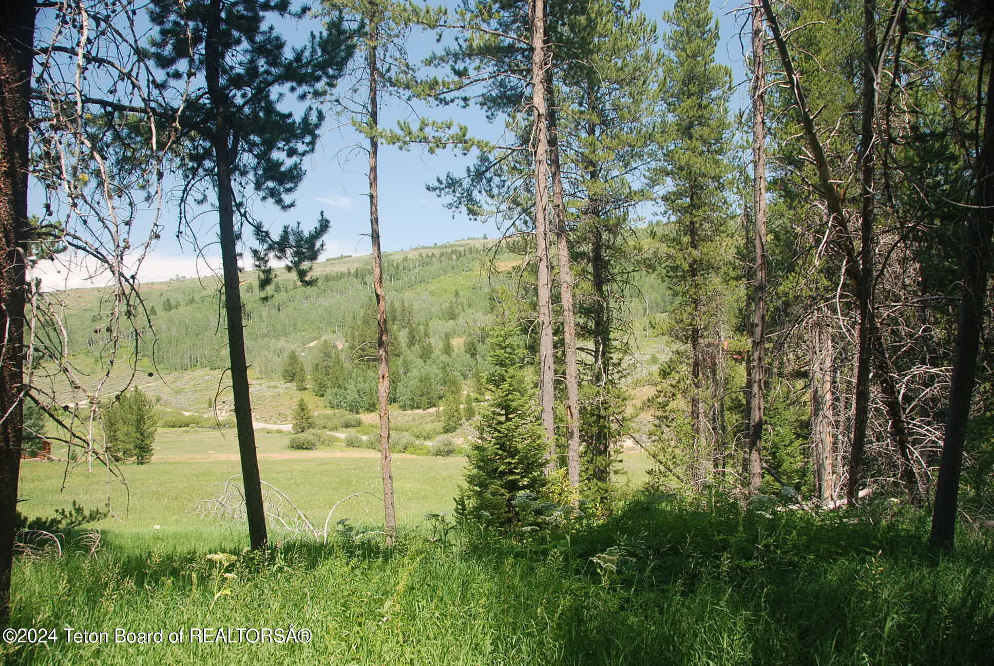 8355 S FALL CREEK Road