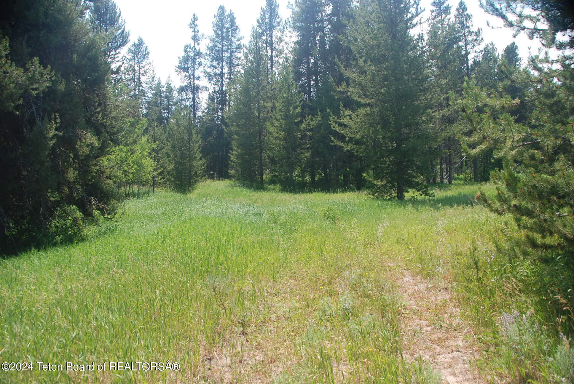 8355 S FALL CREEK Road