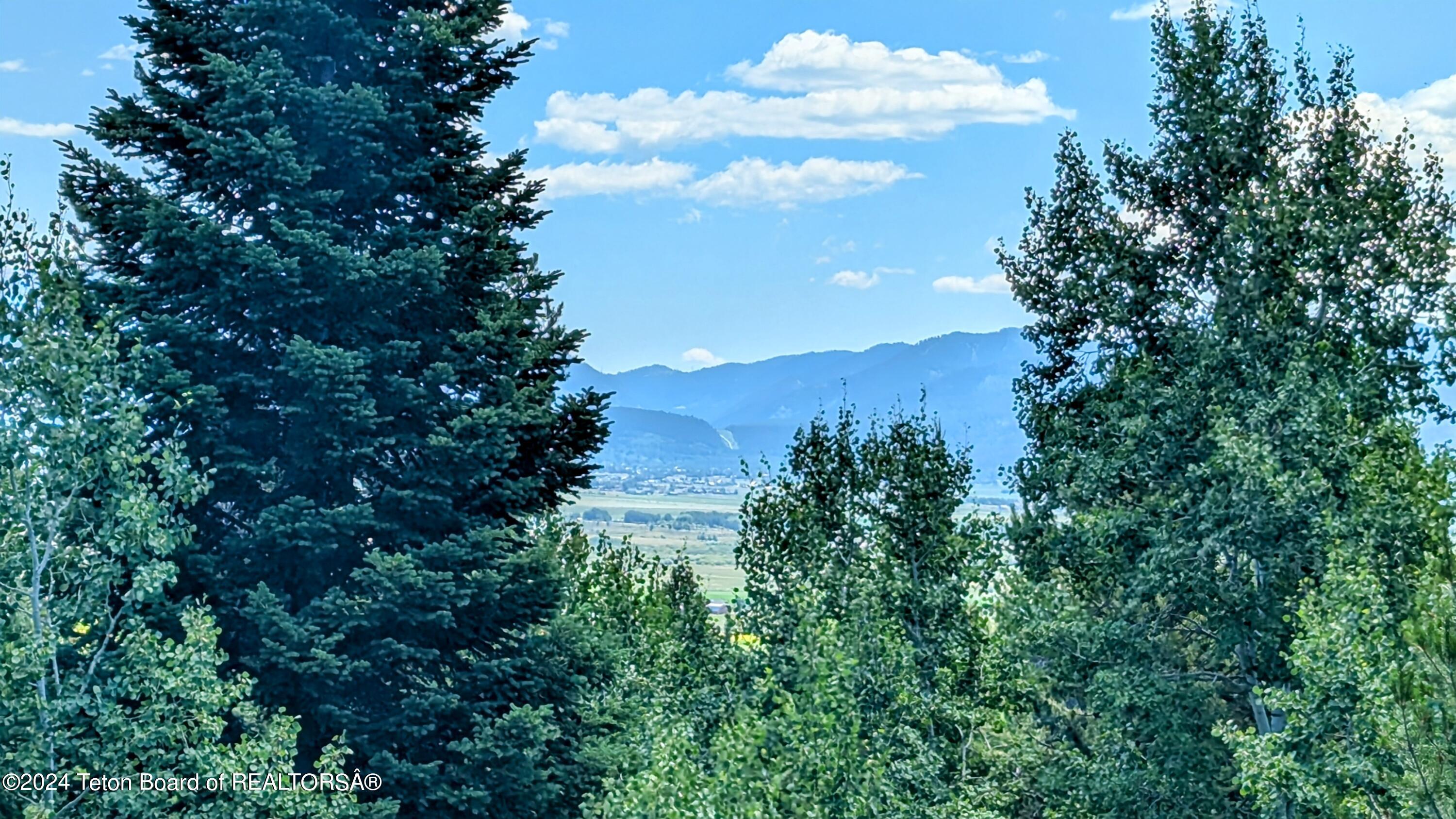 5391 NEEDLE LEAF Lane