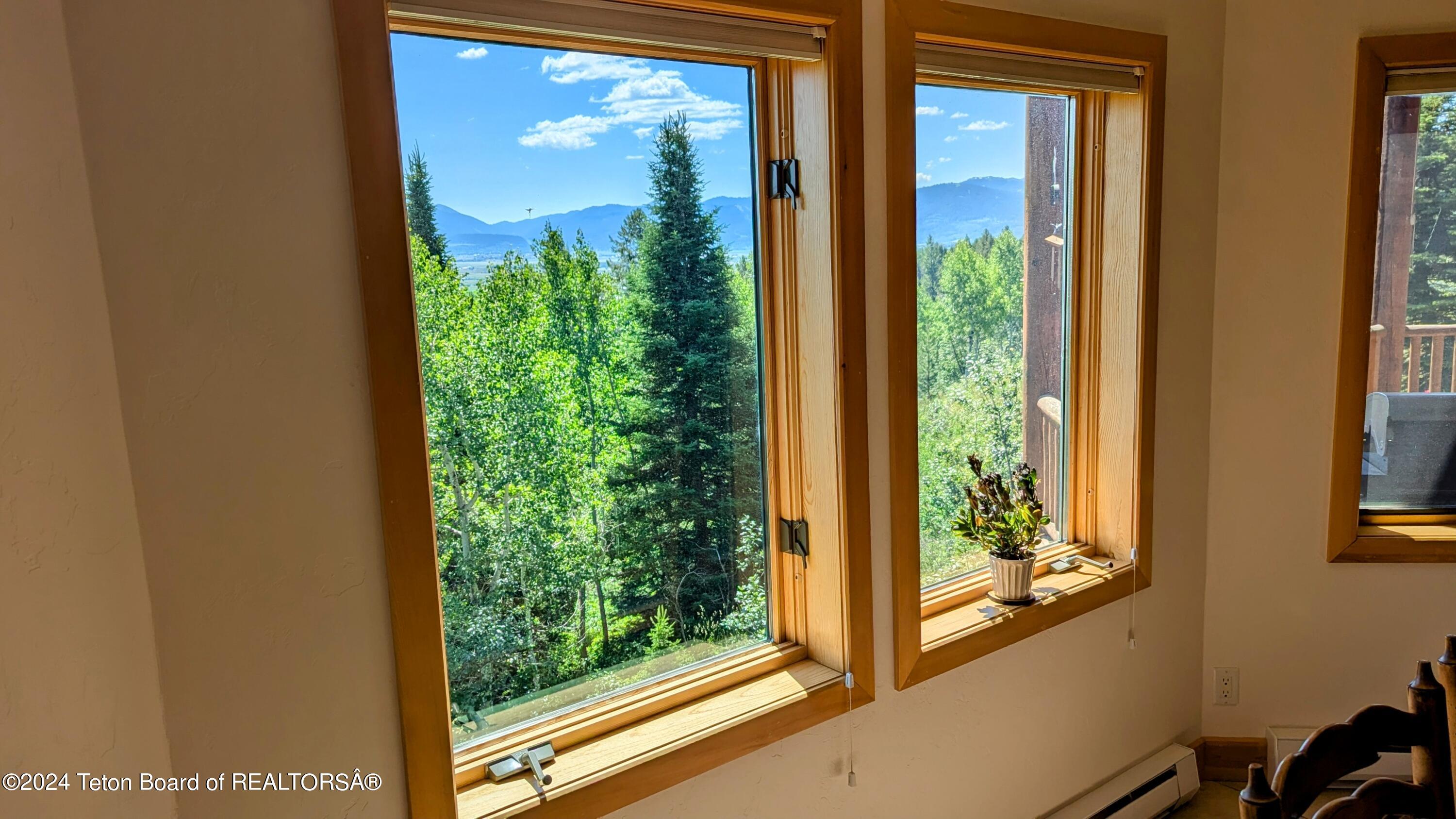 5391 NEEDLE LEAF Lane